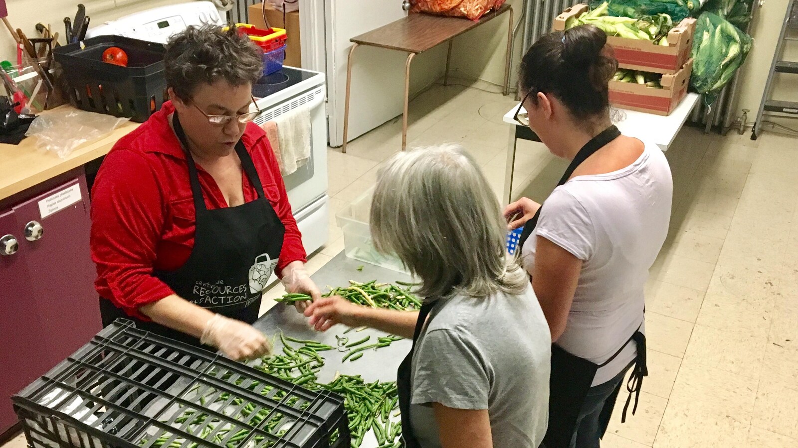 Trois femmes trient des haricots verts, étalés sur un comptoir.