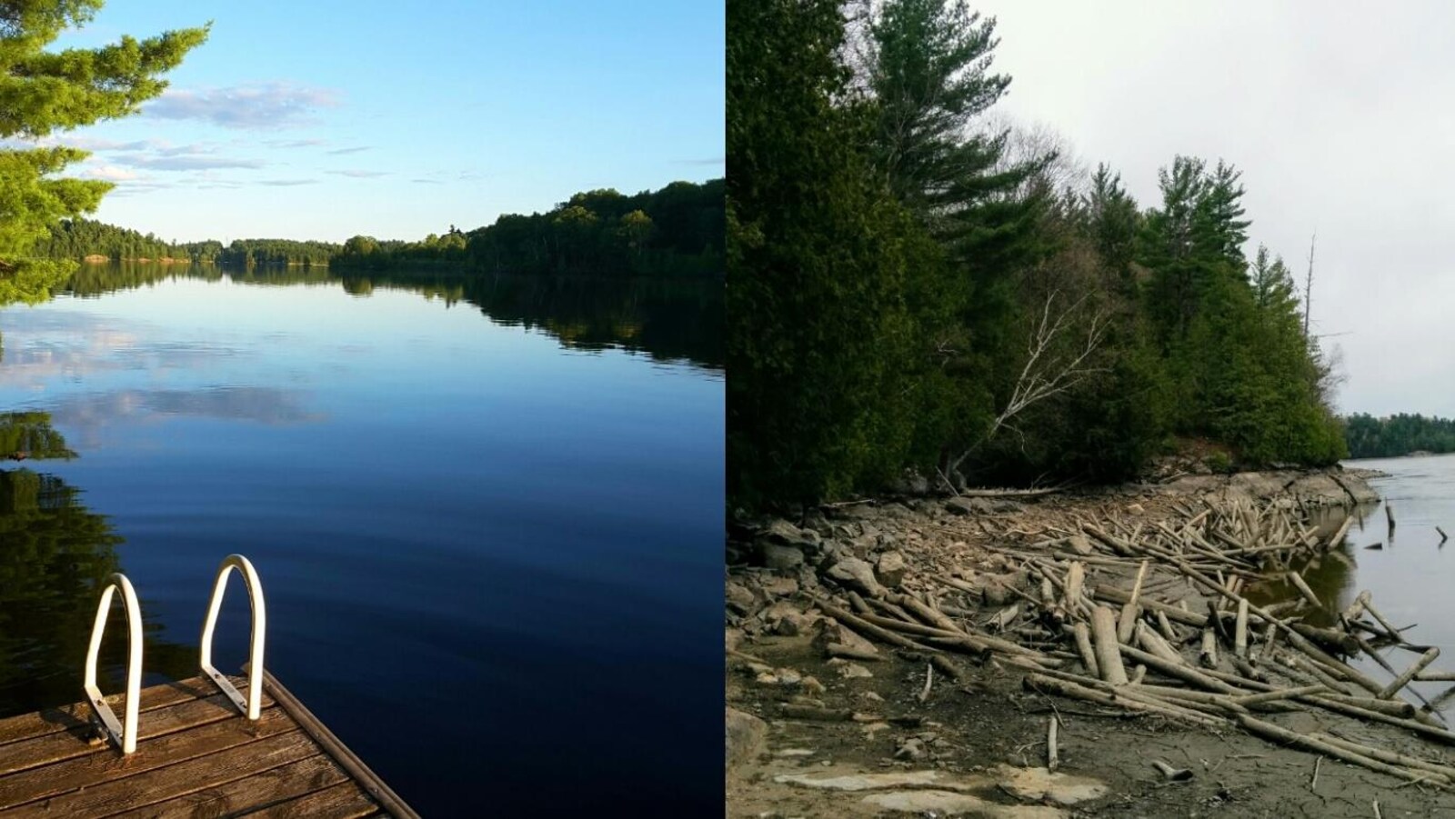 Le niveau de la rivière Gatineau plus bas qu'à l'habitude à Chelsea