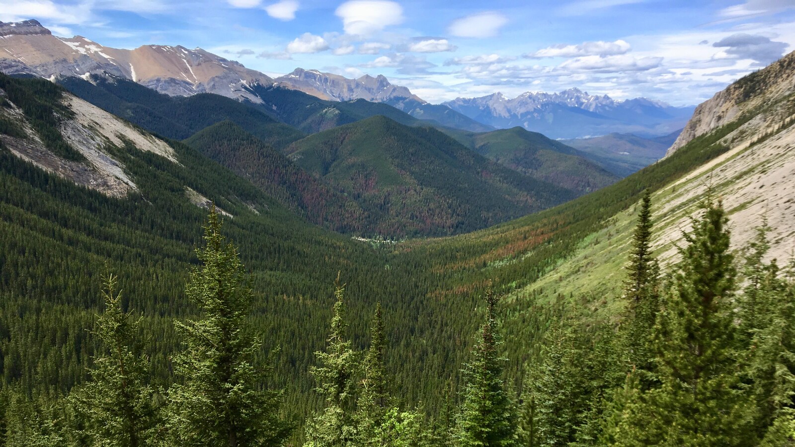 De grosses montagnes, des arbres verts et un ciel bleu.