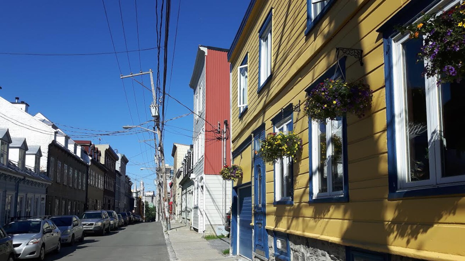La rue Richelieu, dans le quartier Saint-Jean-Baptiste, photographiée en été. On aperçoit des immeubles résidentiels et des voitures stationnées en file.