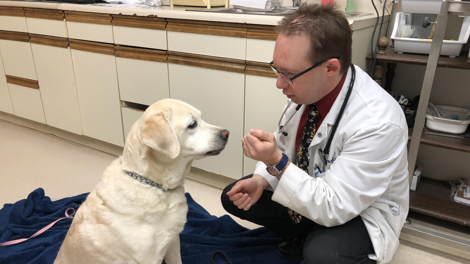 Le docteur est accroupis près du chien.