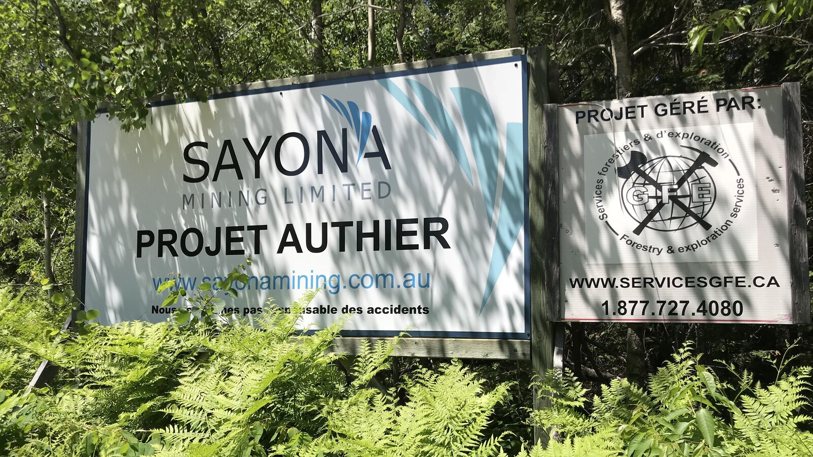 Deux grandes affiches du projet minier Authier, de la compagnie Sayona Mining, plantées dans la terre sur un terrain boisé.