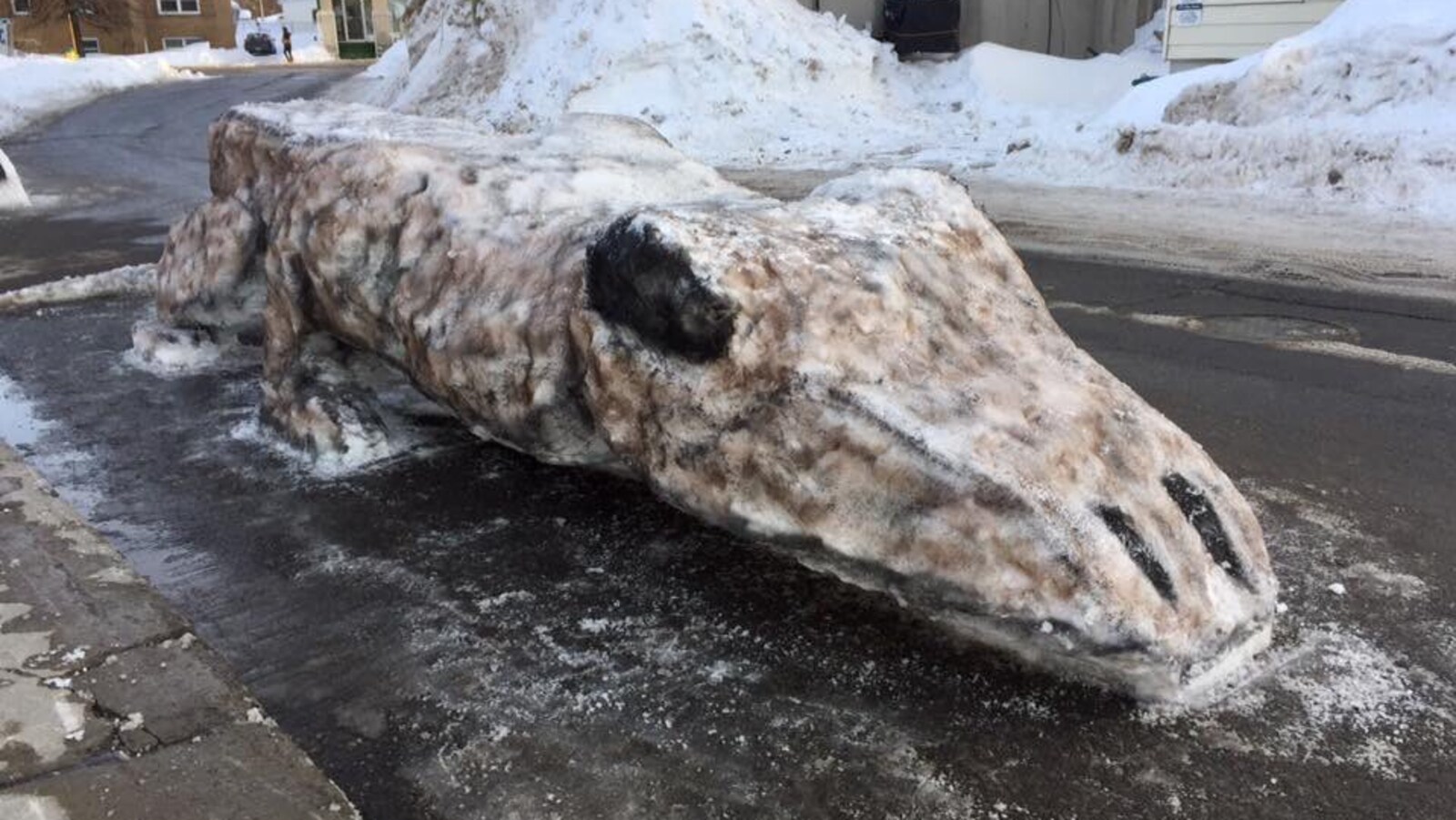 Une sculpture de neige en forme de crocodile.