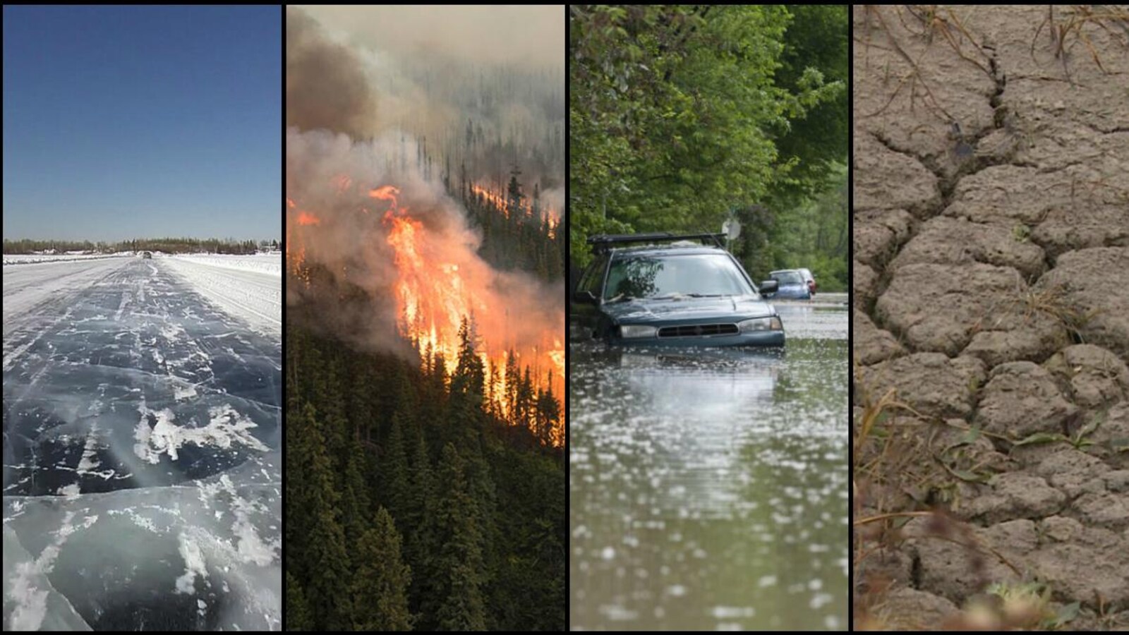 Un collage de plusieurs photos: une route de glace, un feu de forêt, une rue inondée et un champ asséché.
