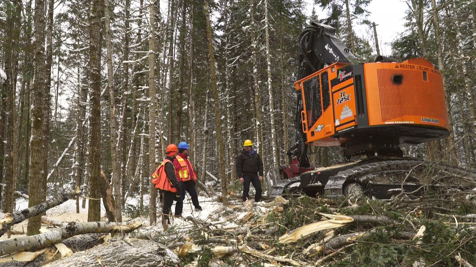 Quelques travailleurs forestiers en forêt l'hiver.