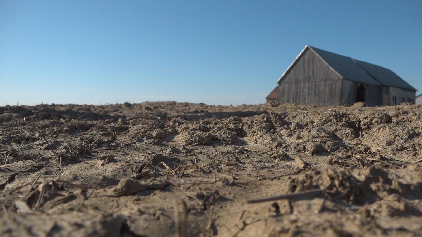 Vue de près du sol d'un champ labouré sans culture agricole, et une vieille grange en arrière-plan.