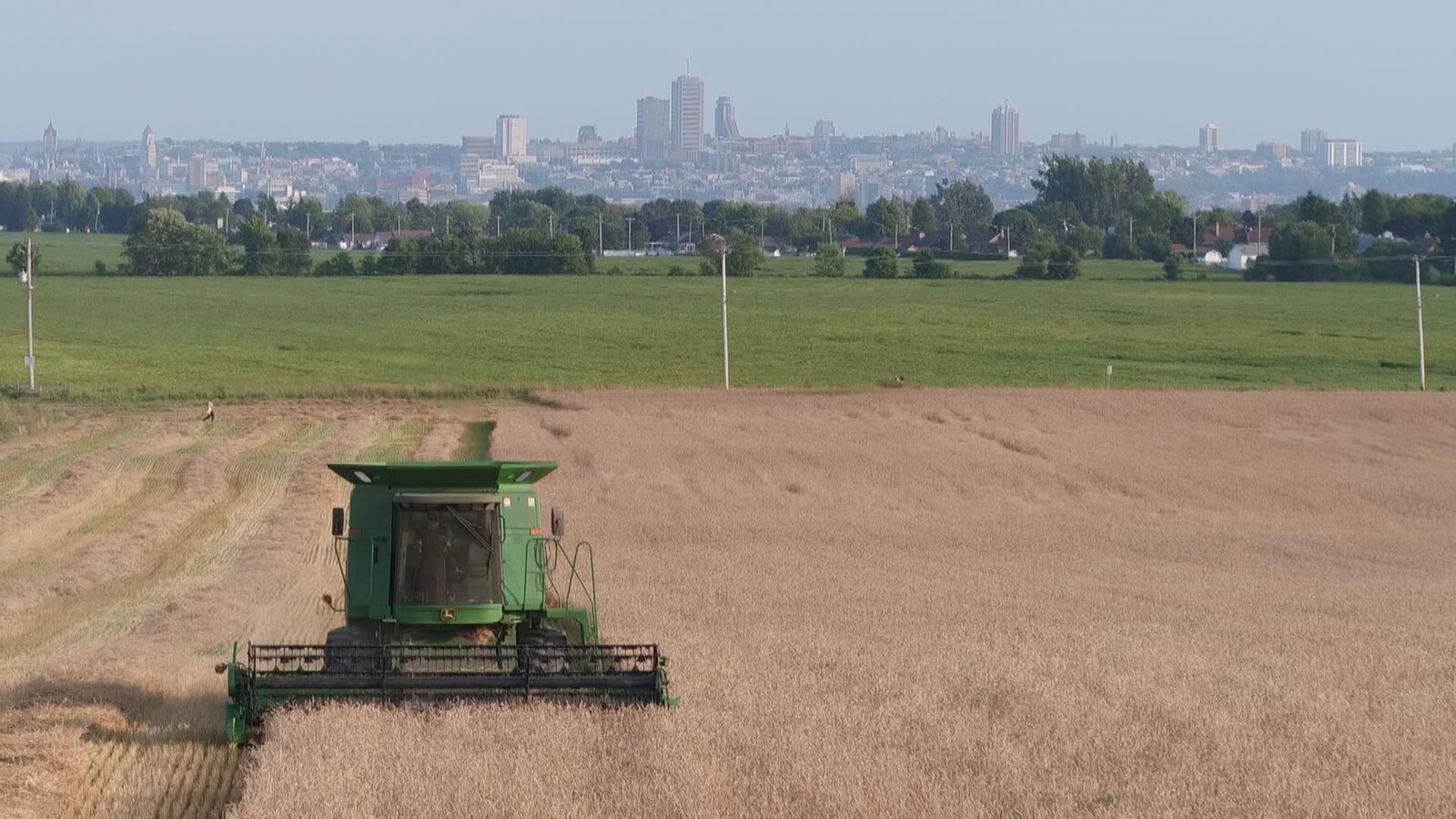 Une moissonneuse dans un champs avec en arrière plan la ville de Québec.