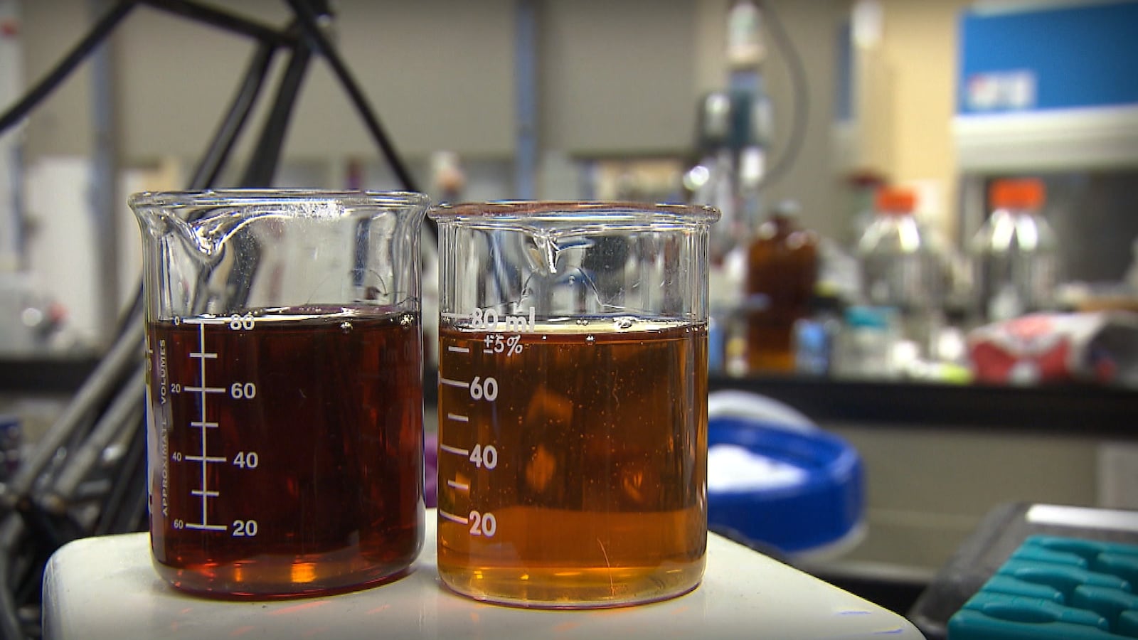 Le nouveau laboratoire de classification de sirop d'érable à Pohénégamook sera ouvert à temps pour la prochaine saison des sucres.