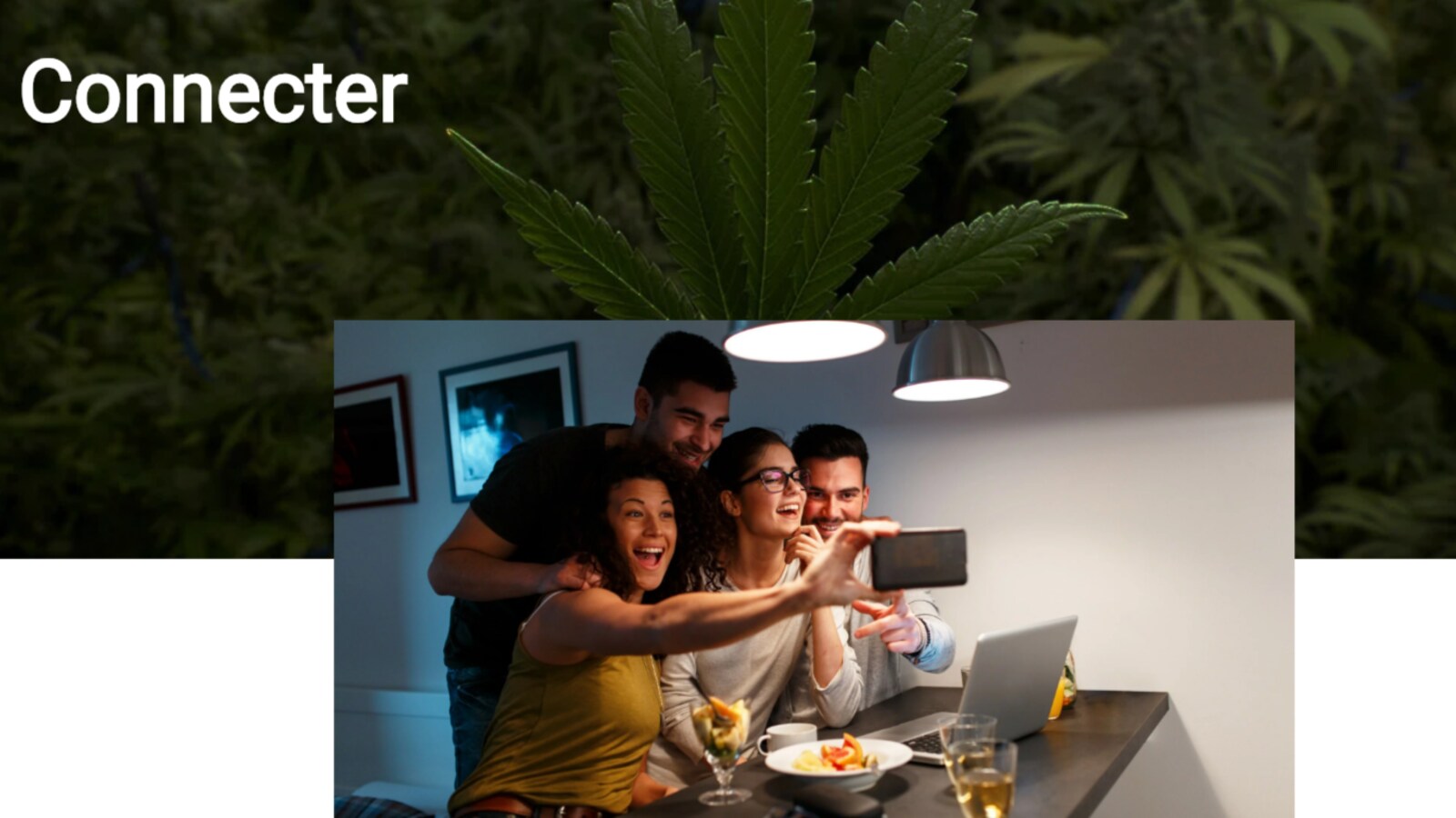 Capture d'écran du site cannabis-nb.com le 17 octobre 2018.