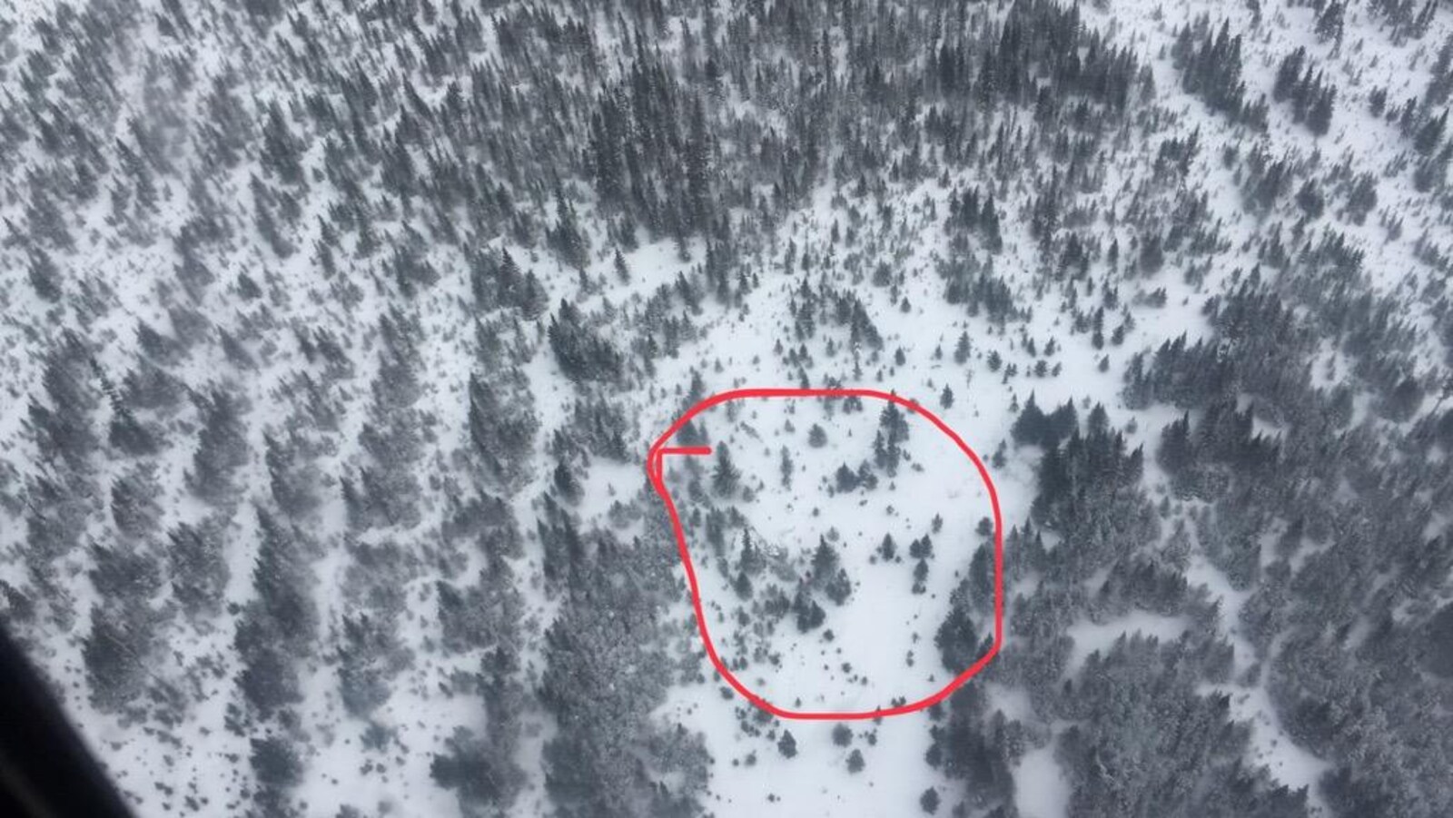 Vue aérienne d’une forêt enneigée avec un cercle rouge montrant l’endroit où a eu lieu l’accident.