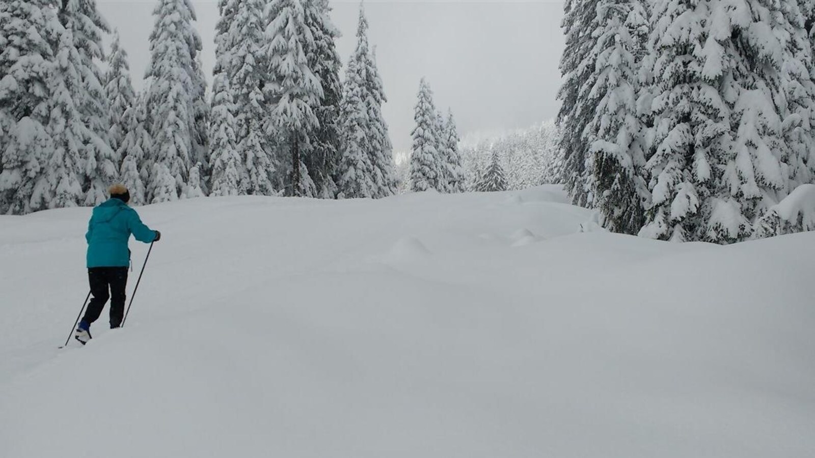 Une skieuse dans un sentier