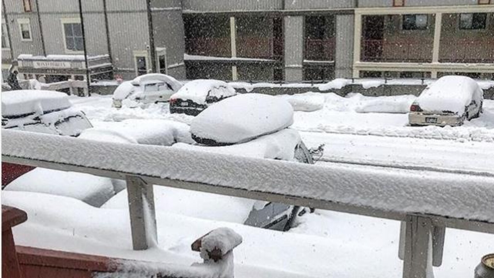 De la neige tombe abondamment sur le sol recouvert déjà d'un épais duvet blanc.