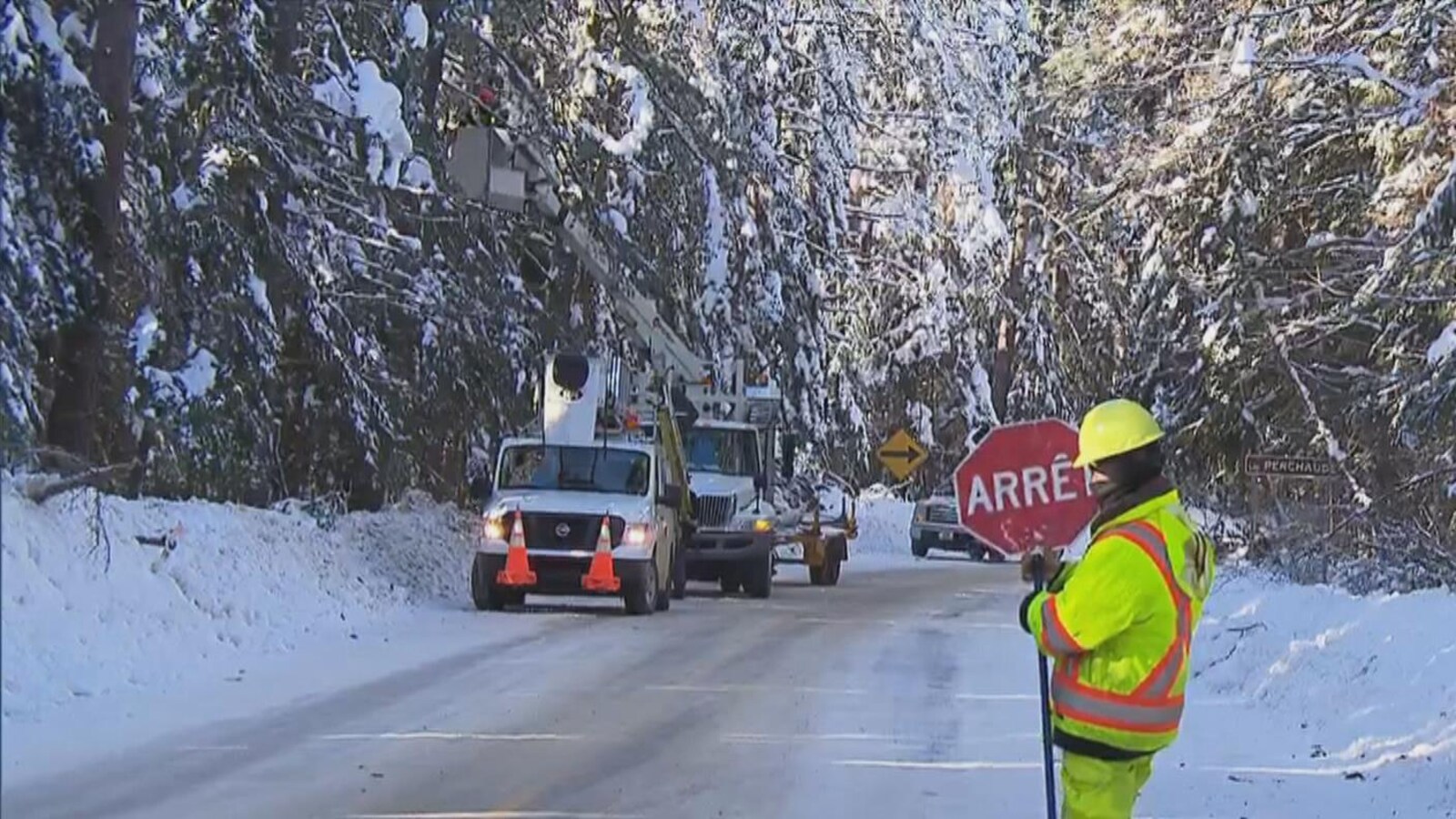 Gens dans les arbres qui coupent des branches et une personne qui tient un panneau arrêt dans la rue