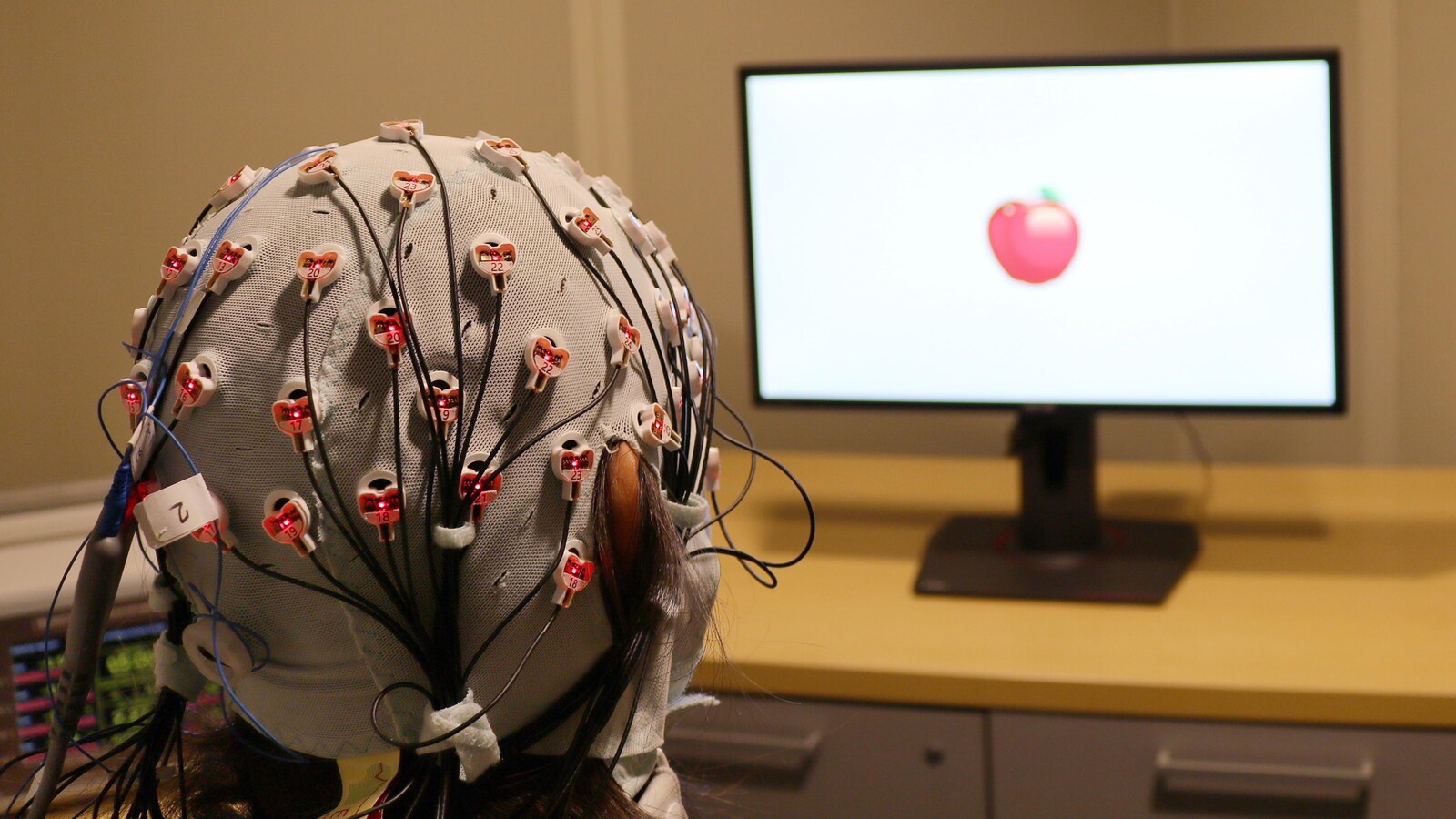 On voit de dos une participante à l'étude qui porte un casque de stimulation électrique. Elle regarde un écran où est affichée une pomme.