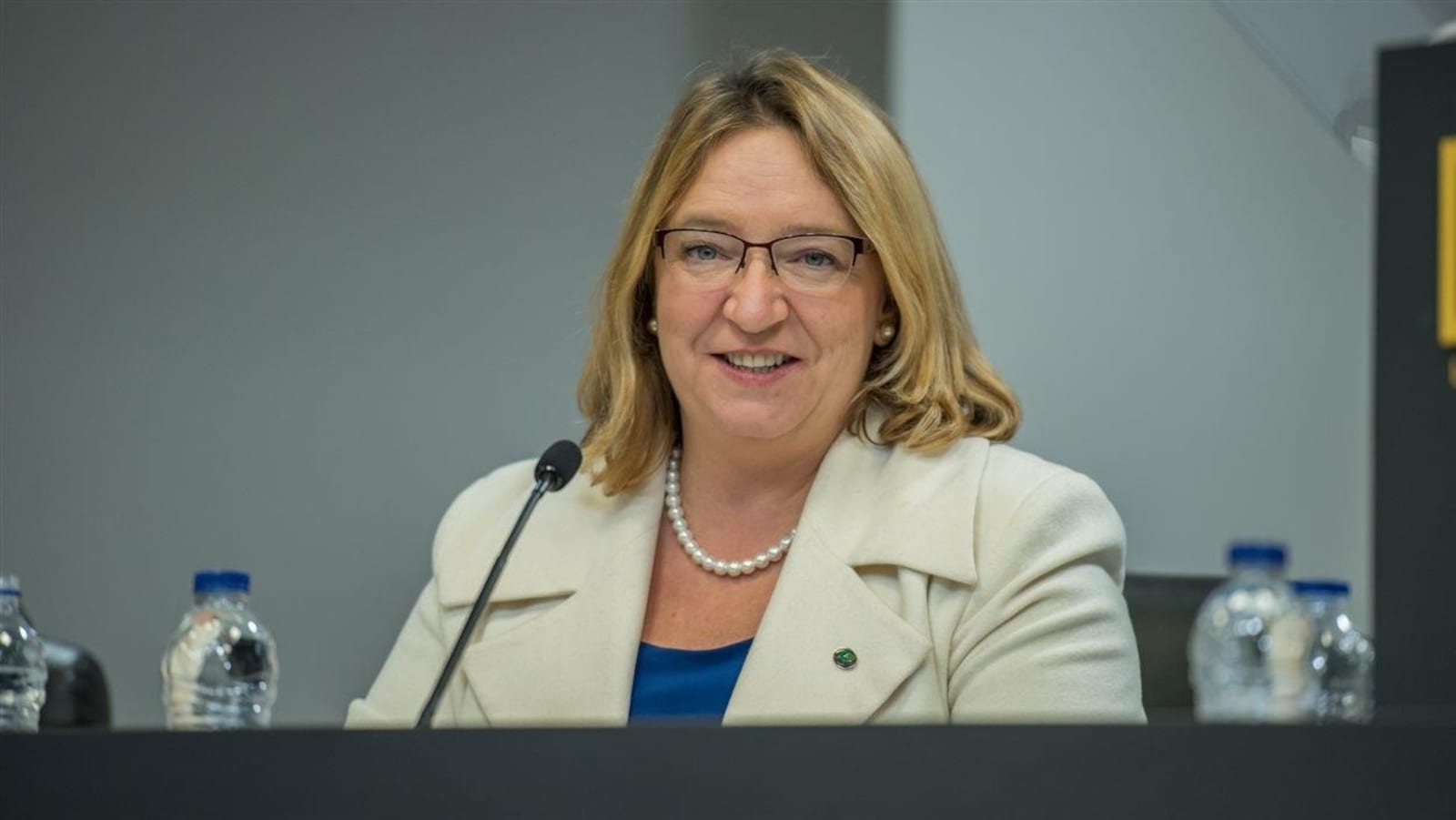 Sylvie Goneau lors d'une réunion