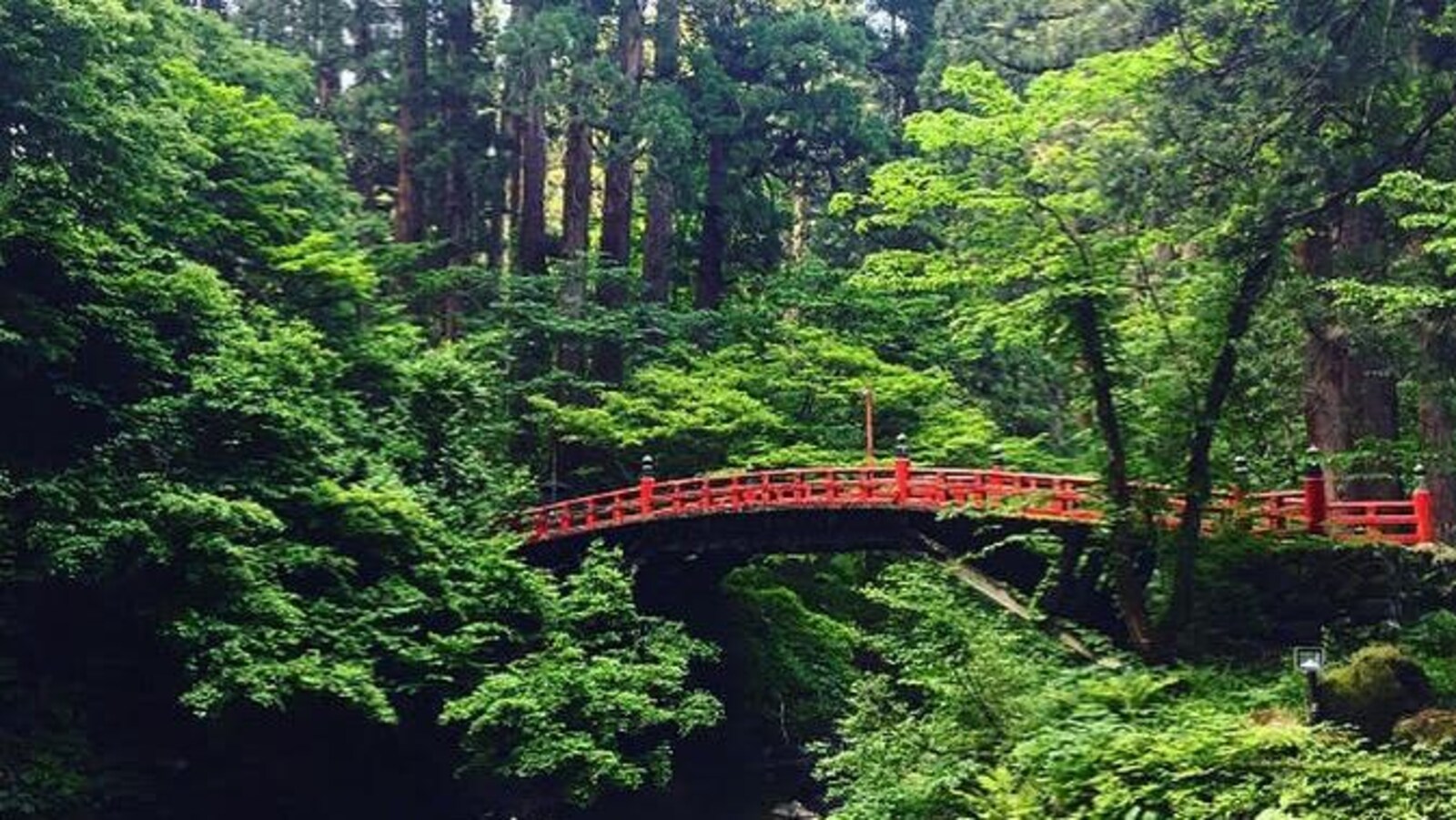 Un pont japonais rouge dans la verdure d'une forêt.