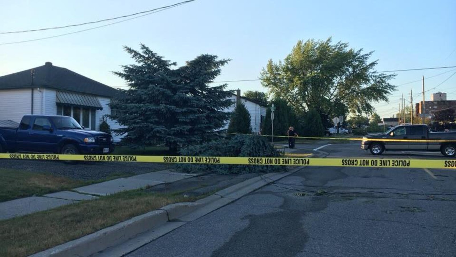 Une zone protégée par un cordon policier et un arbre déraciné sur un trottoir.