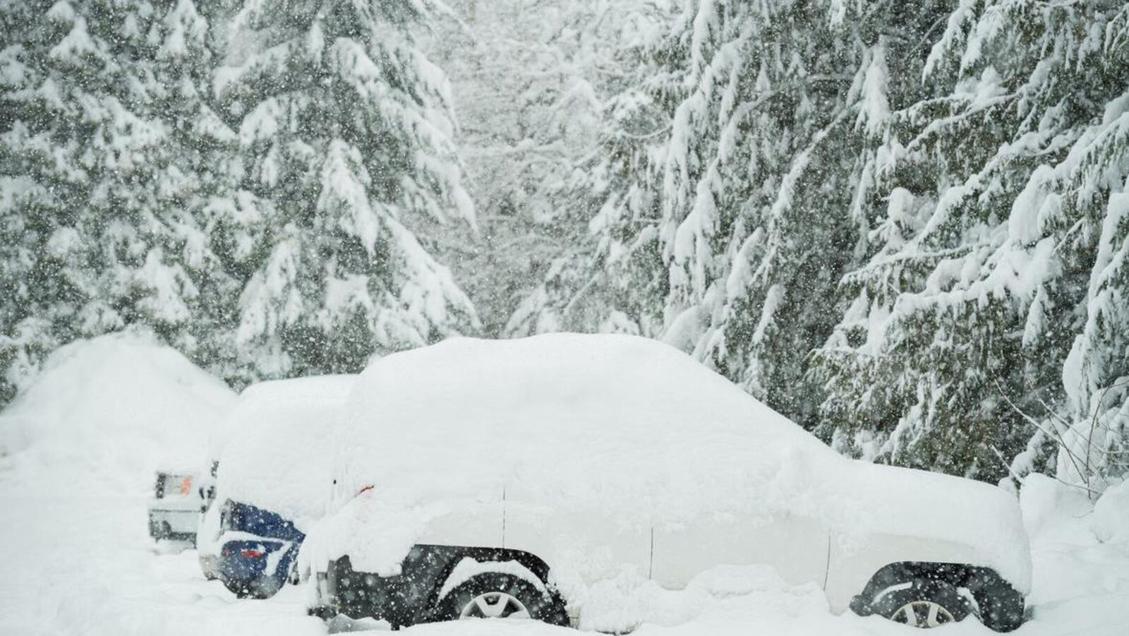Une importante accumulation de neige sur des voitures.