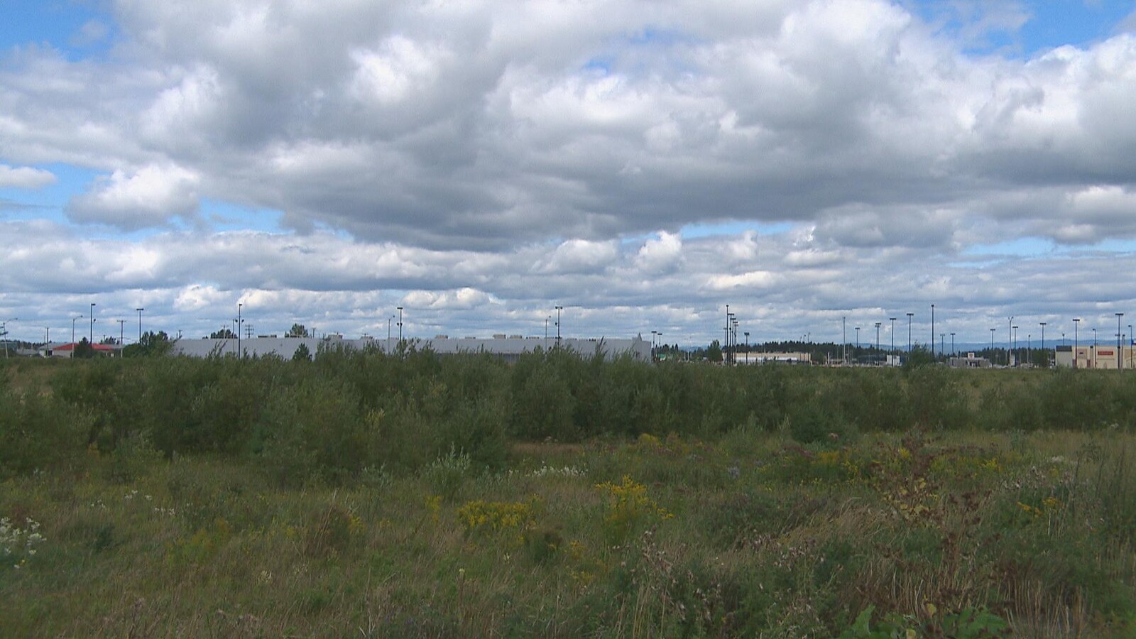 On voit un terrain plat et à l'arrière, il y a le bâtiment de l'ancien Walmart.