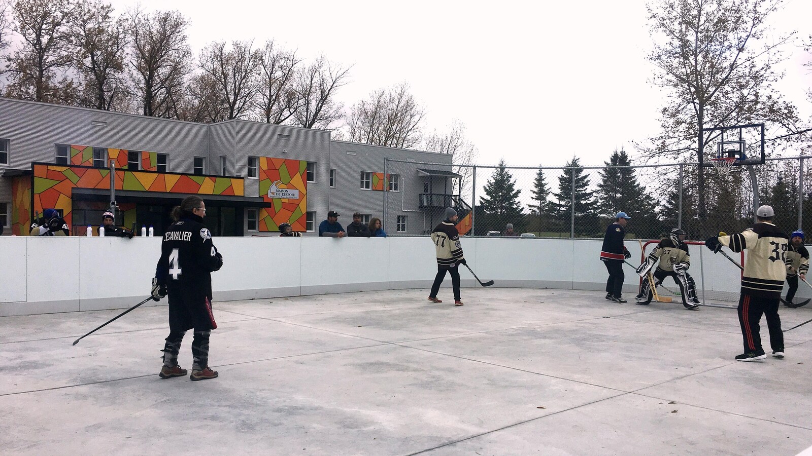 Joueurs de hockey