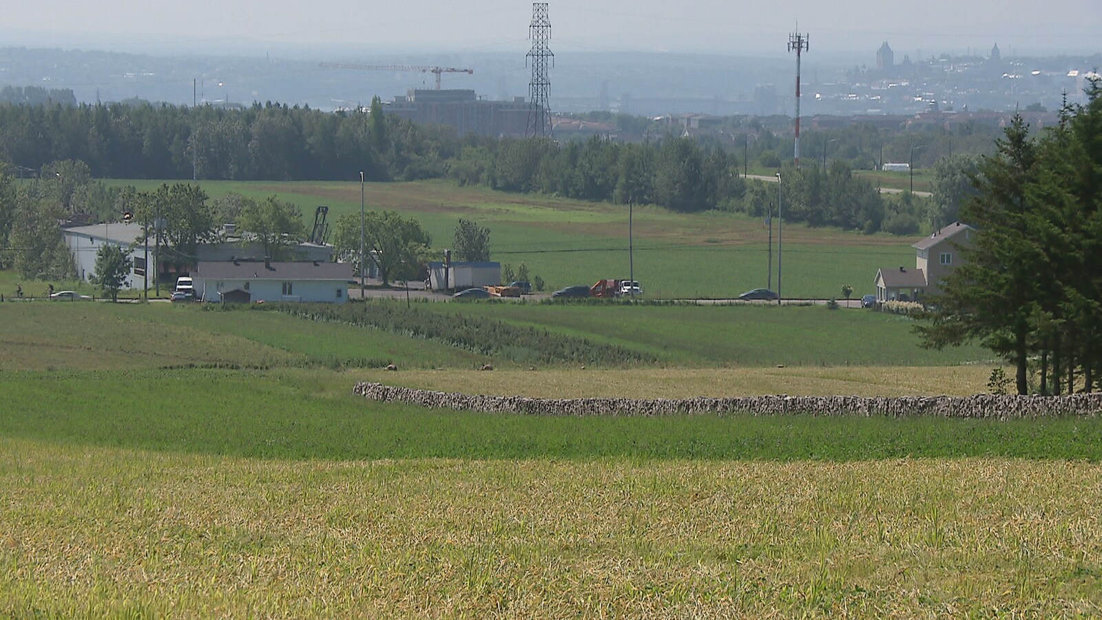 La Ville de Québec affirme qu'elle n'a pas le choix de développer ses terres agricoles.