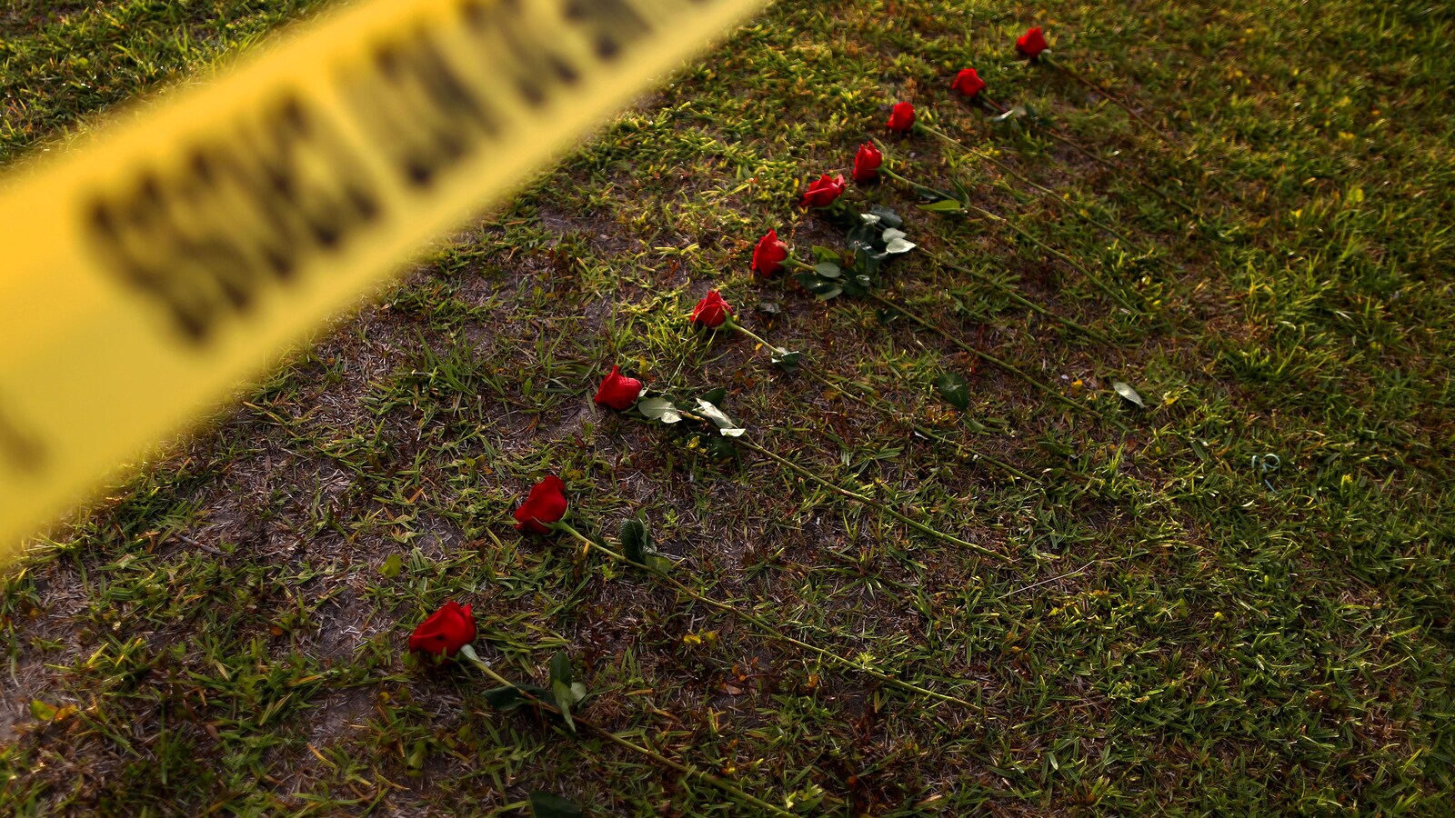 Dix roses posées sur le terrain de l'école secondaire de Santa Fe, au Texas, en mémoire des dix personnes mortes lors d'une fusillade.