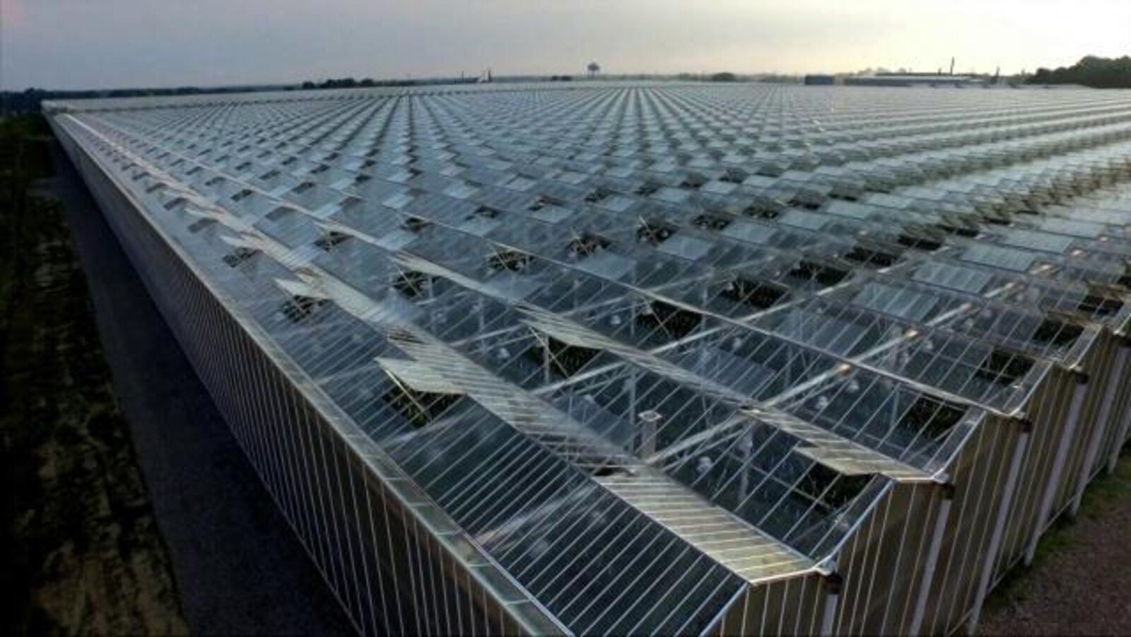 Des serres agricoles vues du ciel