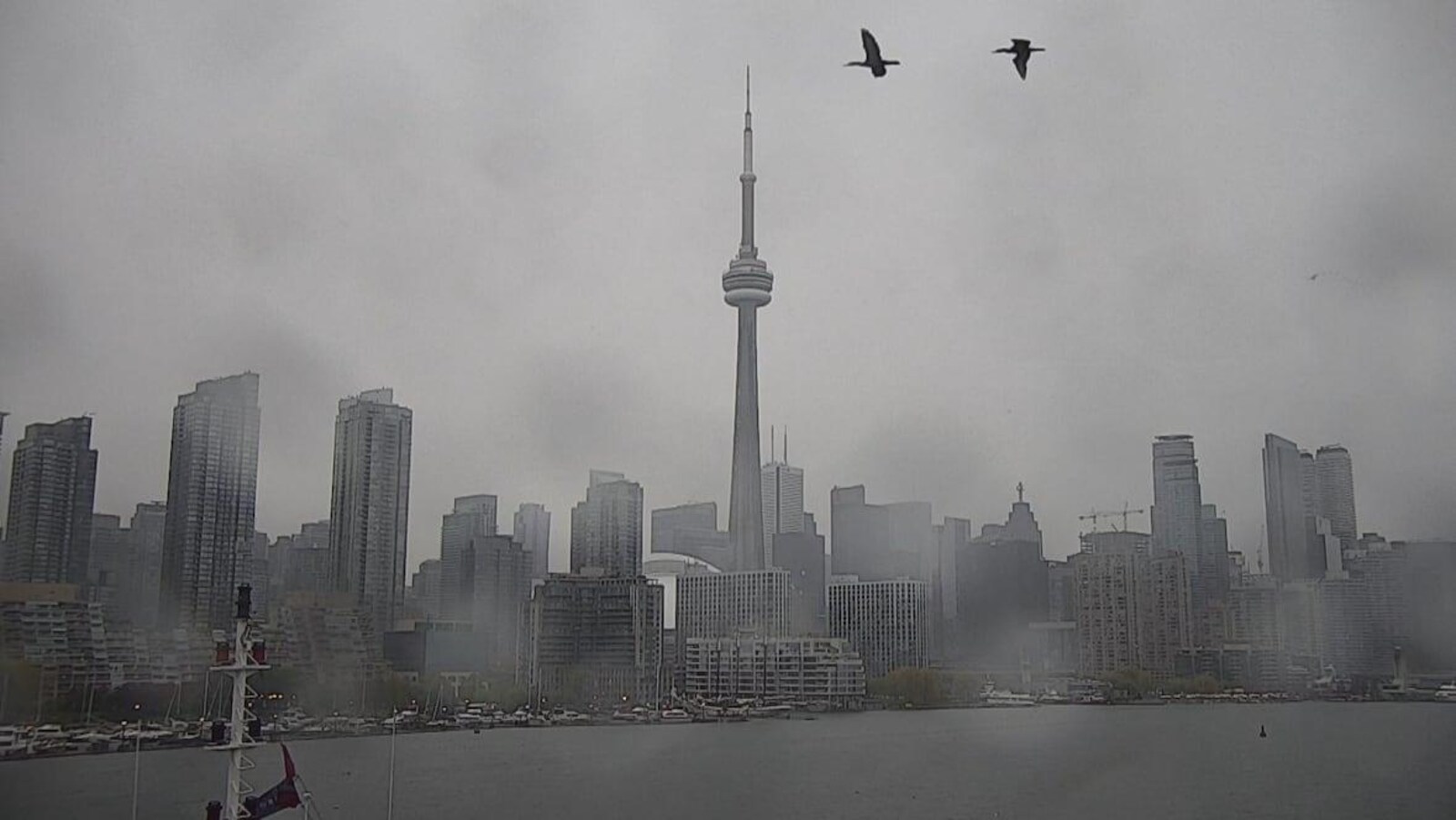 Vue du centre-ville de Toronto sous la pluie.