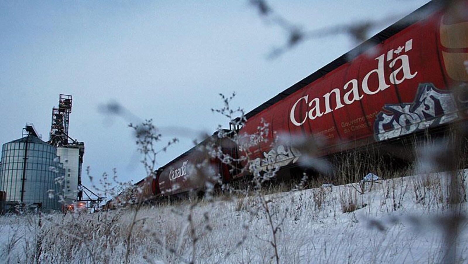 En arrière-plan, un wagon de train rouge sur lequel il est écrit Canada, et au premier plan du gazon enneigé.
