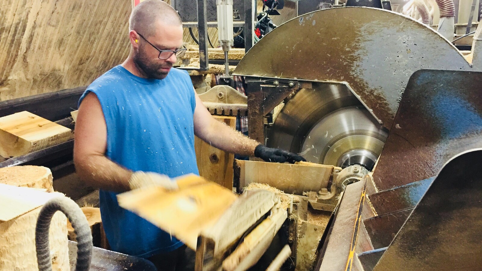 Un travailleur de la scierie Waska, au Nouveau-Brunwick, coupe des bardeaux de cèdre.