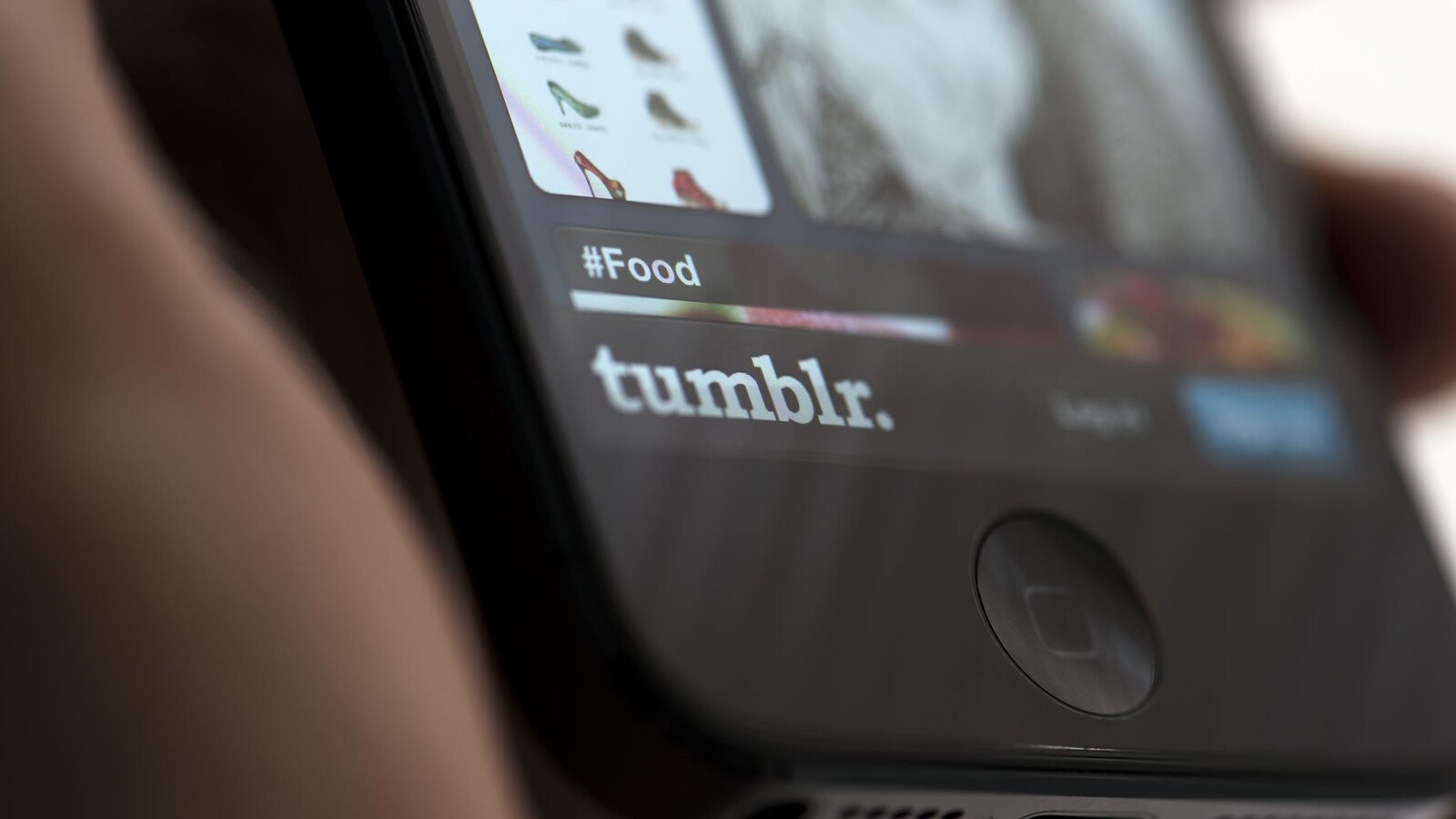 Une photo montrant l'écran d'un iPhone sur lequel est affiché l'écran principal de l'application Tumblr, avec le logo bien en évidence.