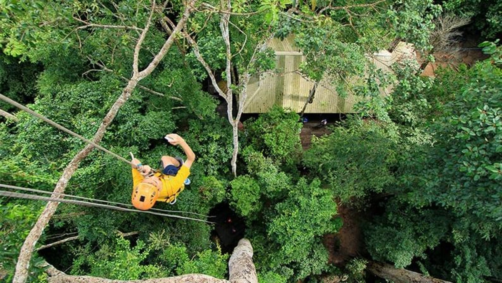 Une personne est suspendu en tyrolienne, parmi des arbres.