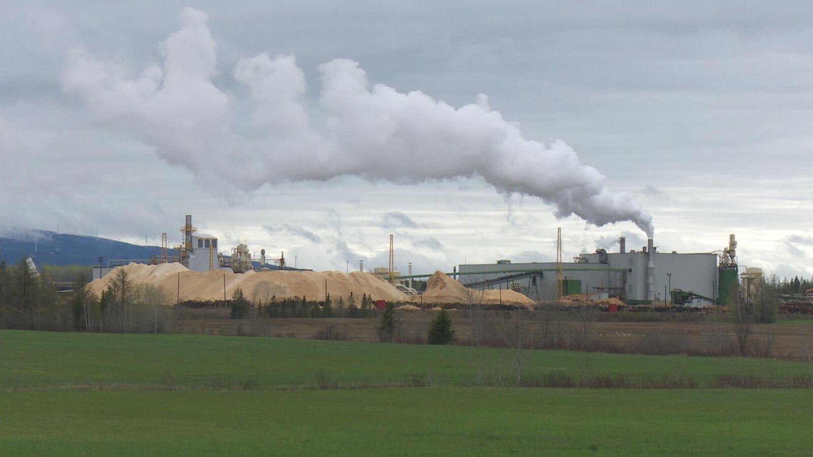 Usine et montagne de copeaux.