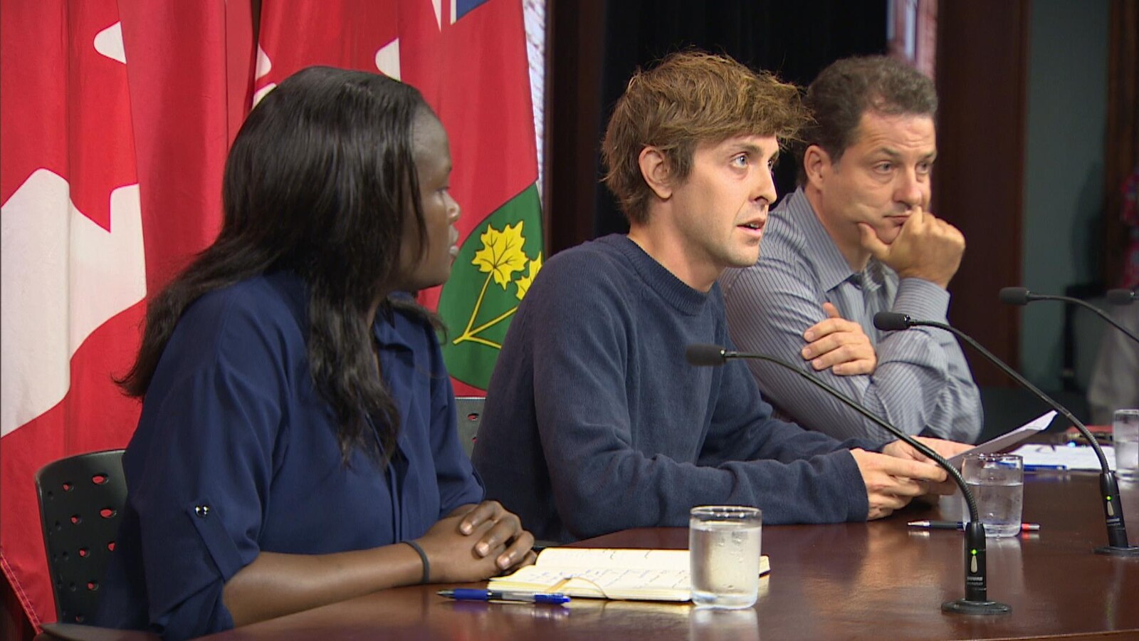 Des représentants du syndicat canadien de la fonction publique, de l'association des étudiants et de l'association facultaire de l'Université York rassemblés à Queen's Park.