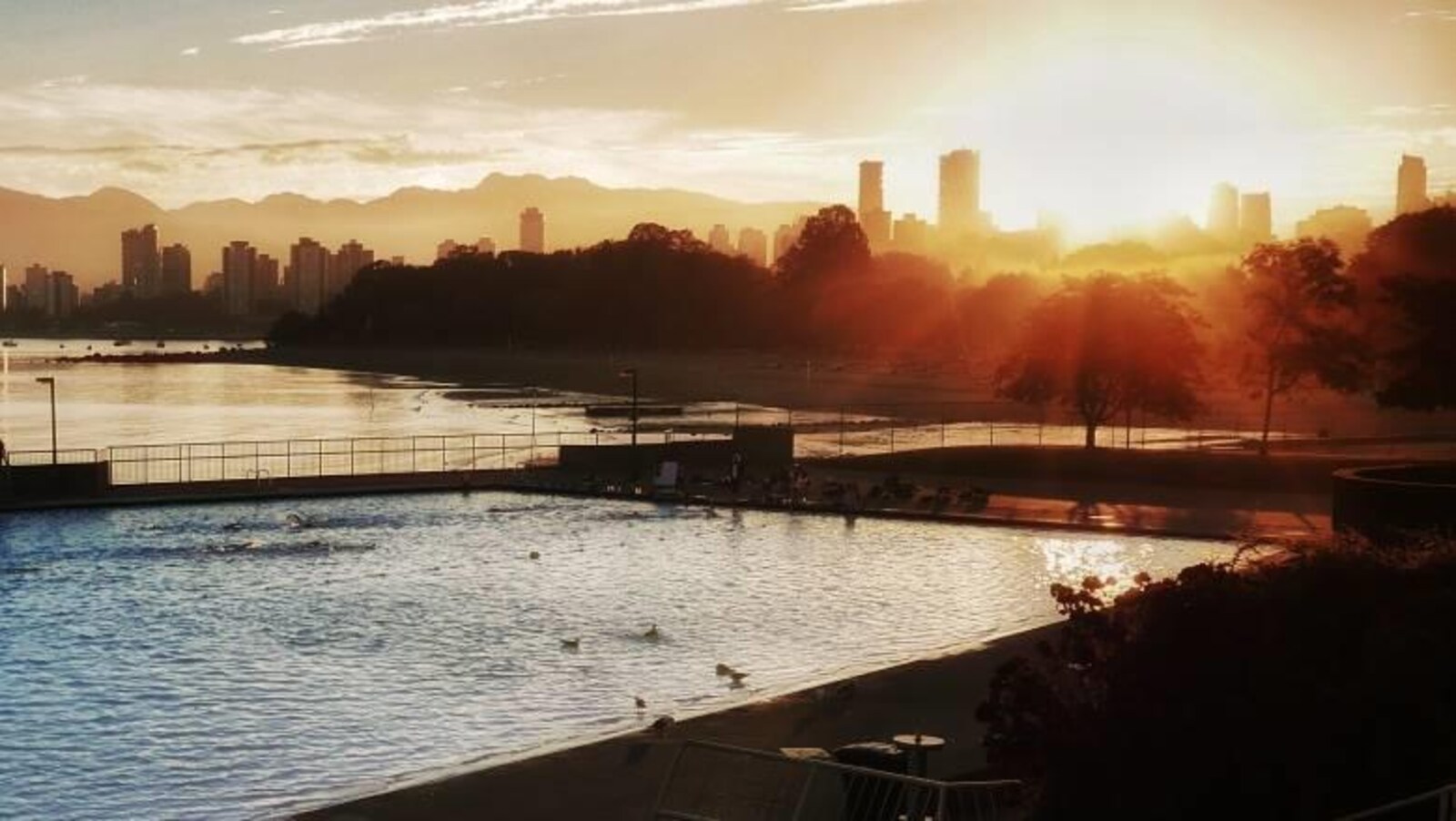 Un levé de soleil avec en avant-plan une piscine creusée et le profil du centre-ville de Vancouver.