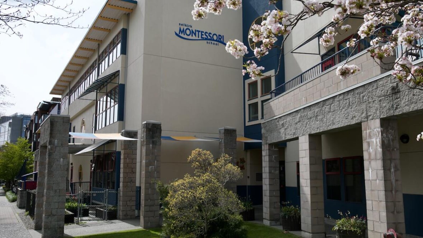 L'école Selkirk Montessori avec en avant-plan un cerisier en fleurs.
