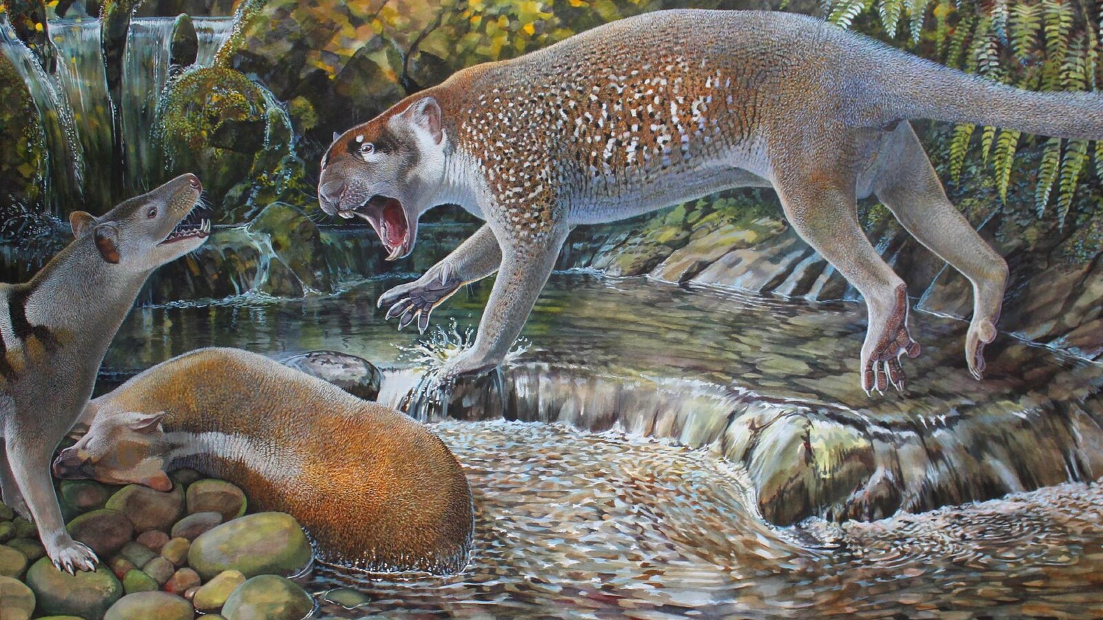 Représentation artistique d'un Wakaleo schouteni dans son milieu naturel.
