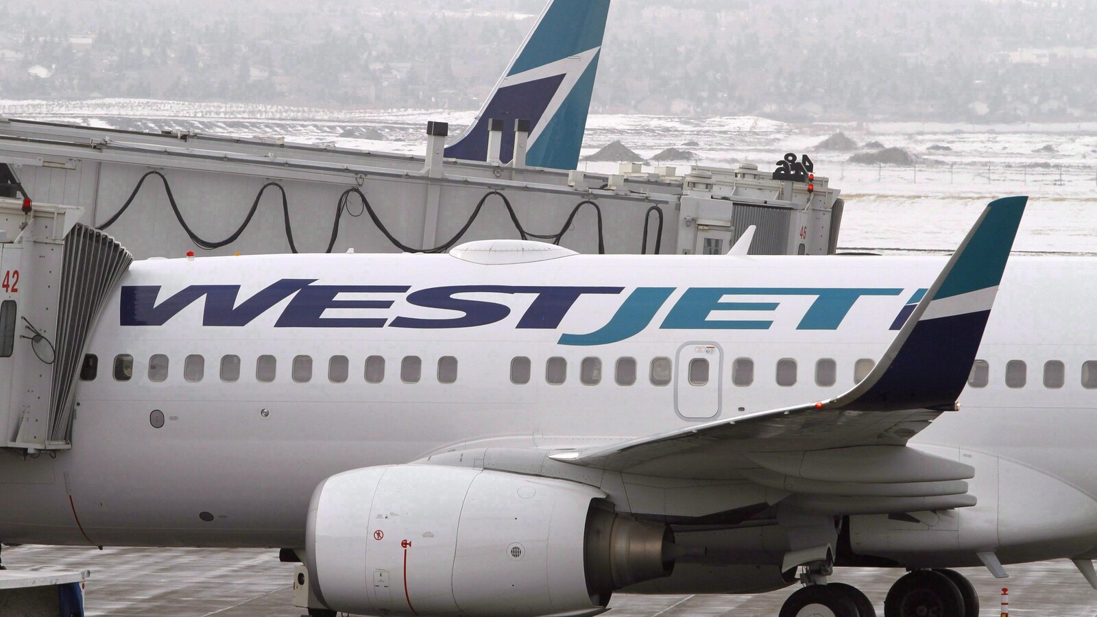 Gros plan d'un avion blanc sur lequel est écrit en lettres bleues Westjet.