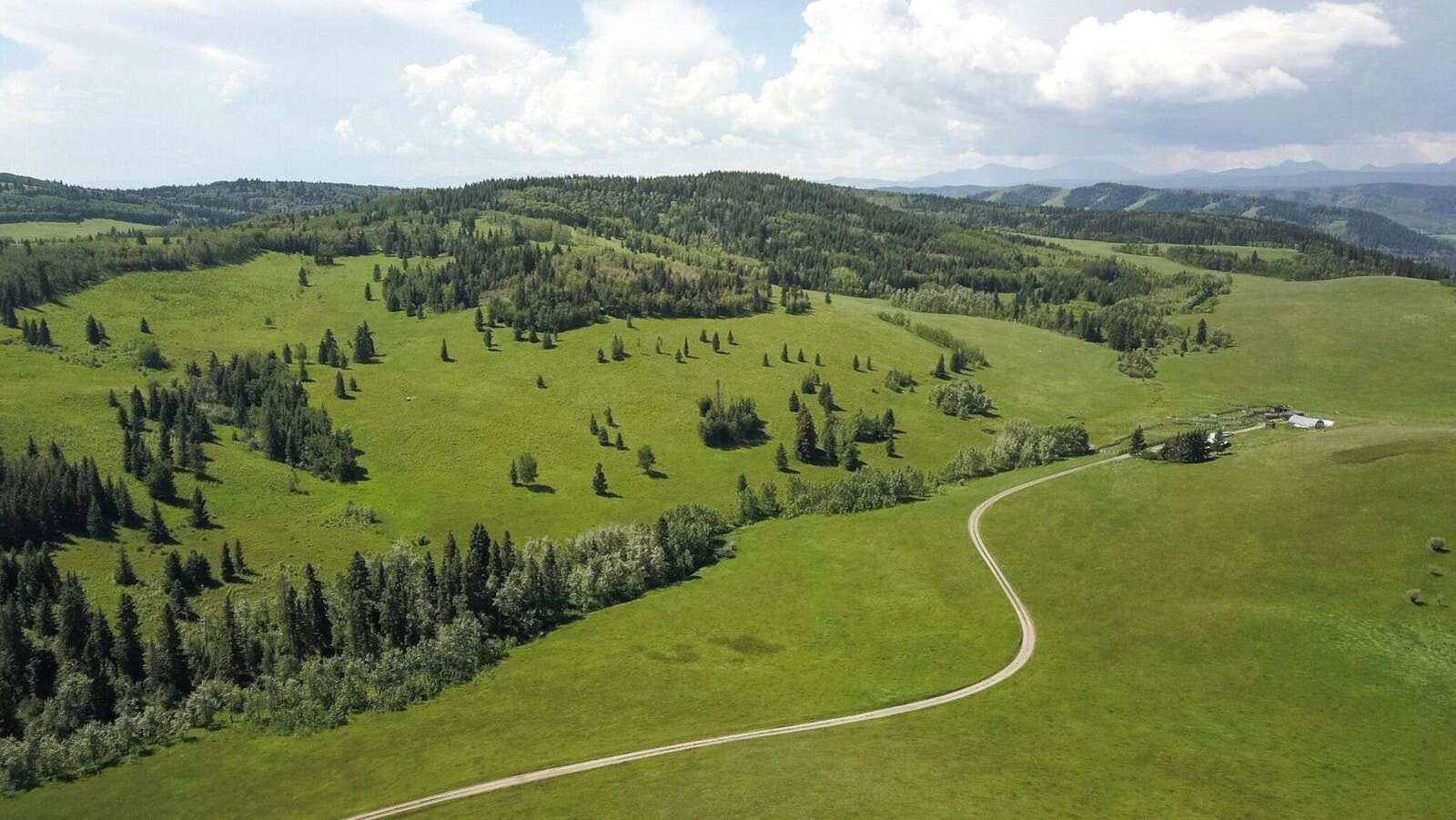 Une prairie verte et vaste avec des arbres.