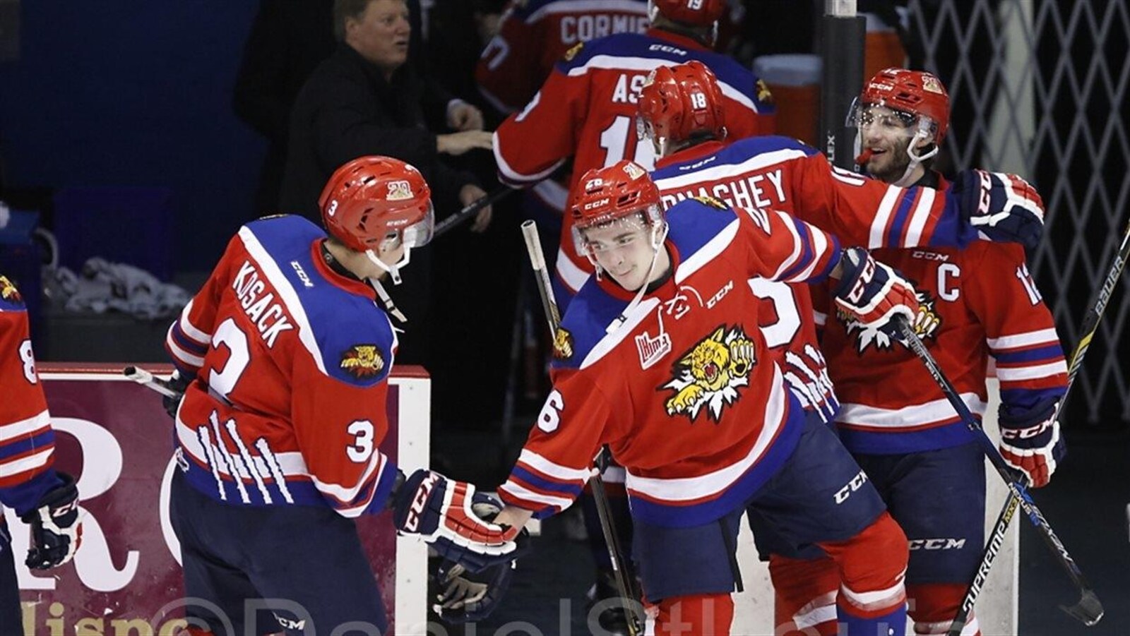 Les joueurs des Wildcats de Moncton se félicitent.