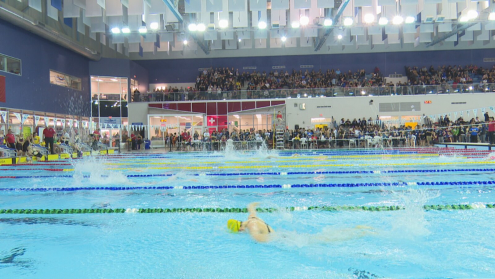 Des nageurs dans une piscine.