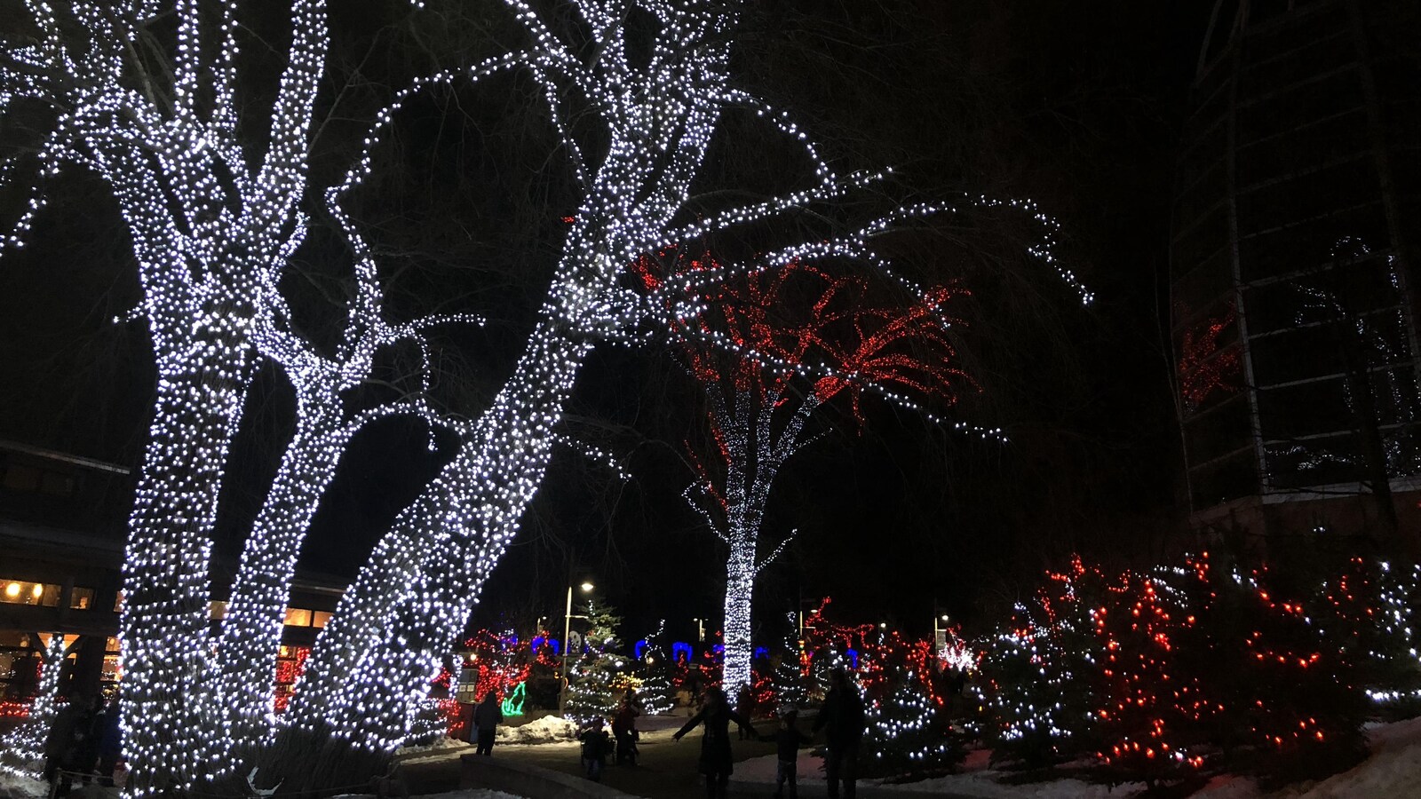 Des gens marchent à travers des arbres illuminés.