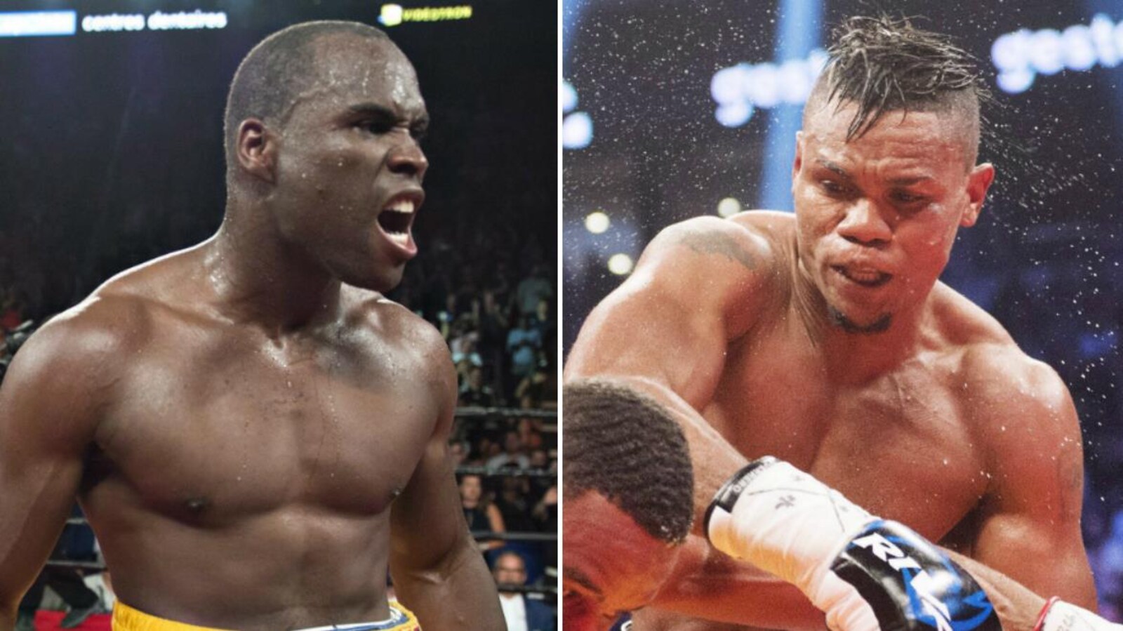 Adonis Stevenson et Eleider Alvarez