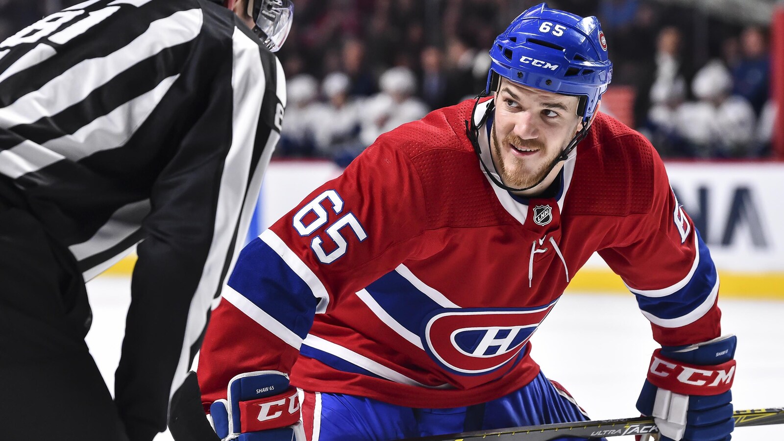 Andrew Shaw