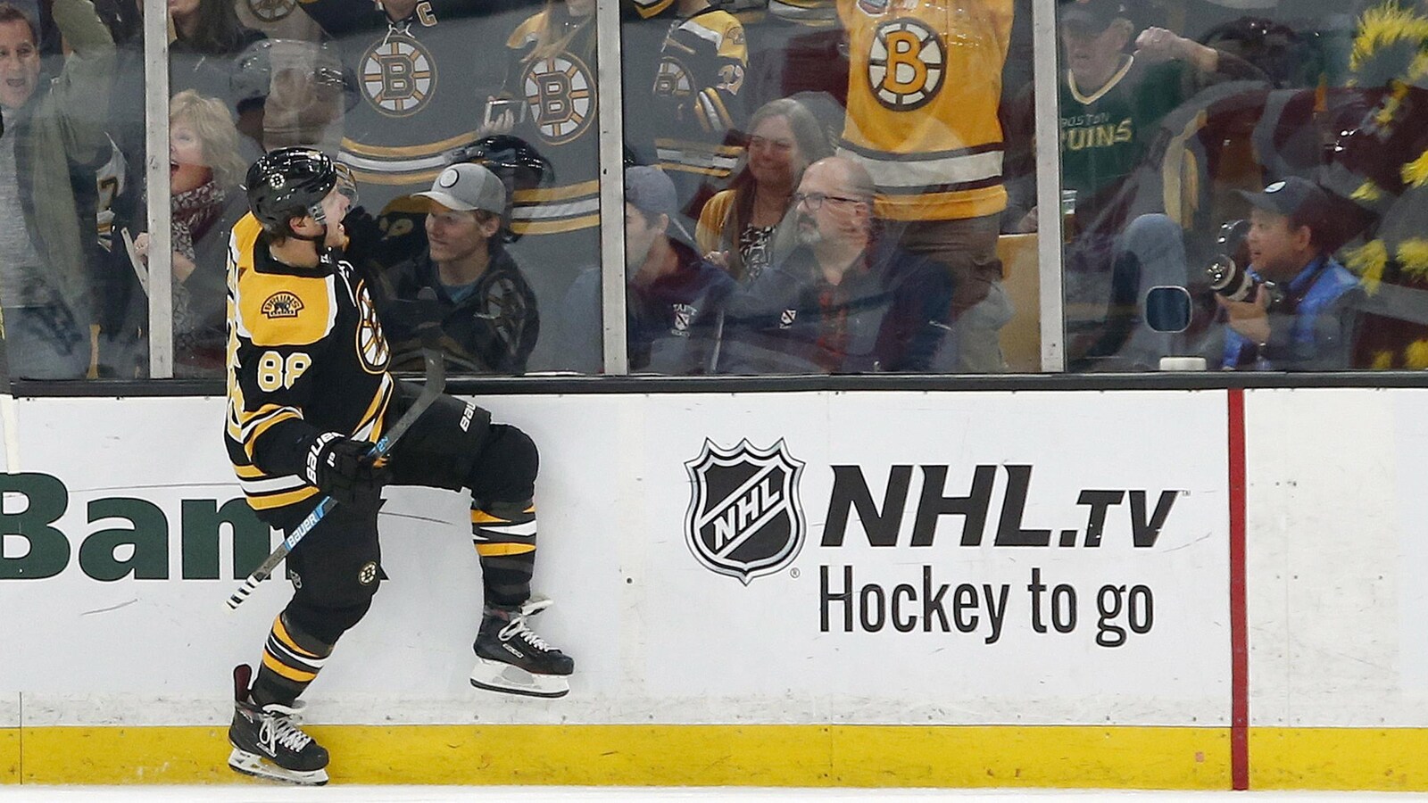 David Pastrnak
