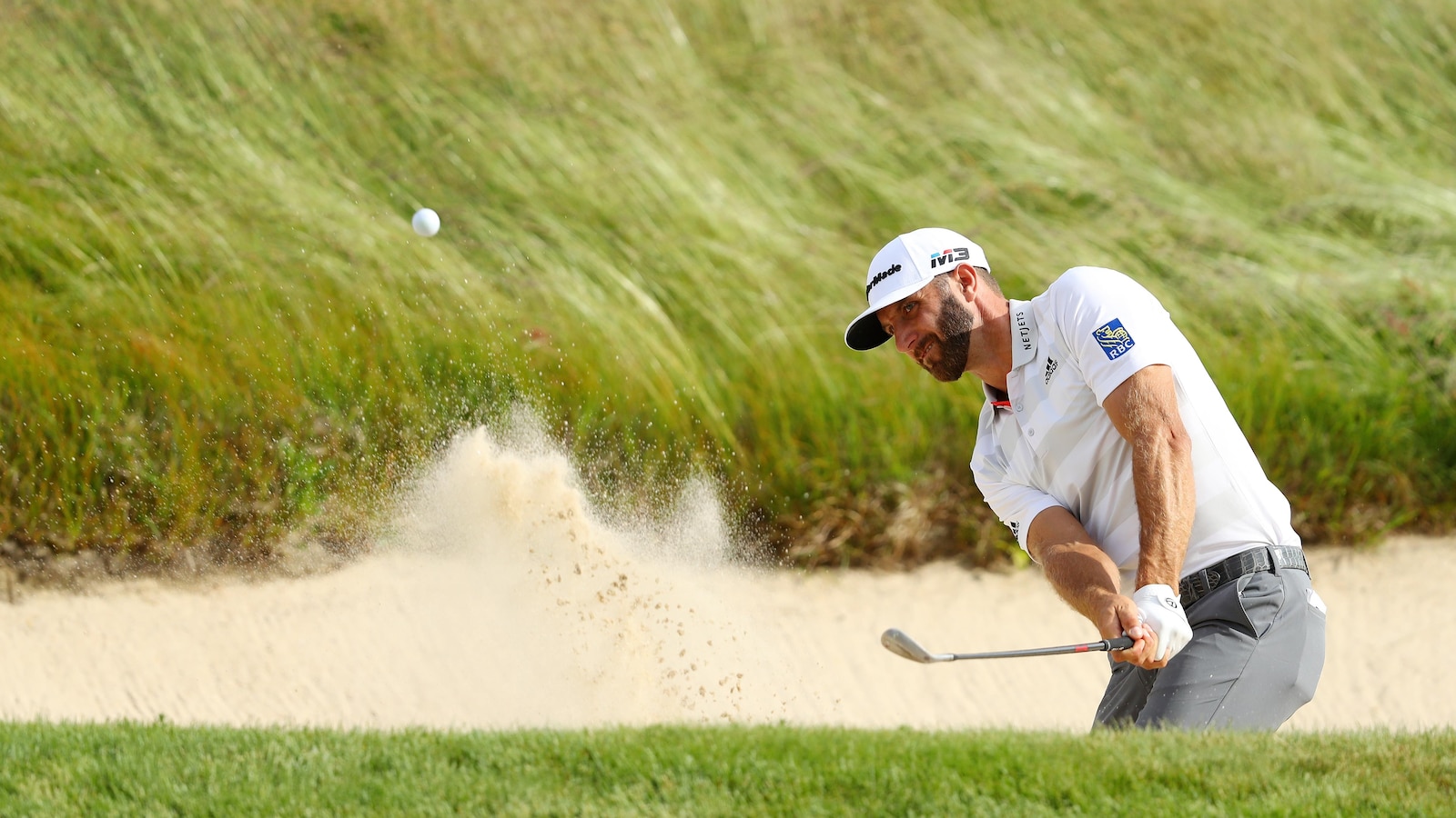 Dustin Johnson