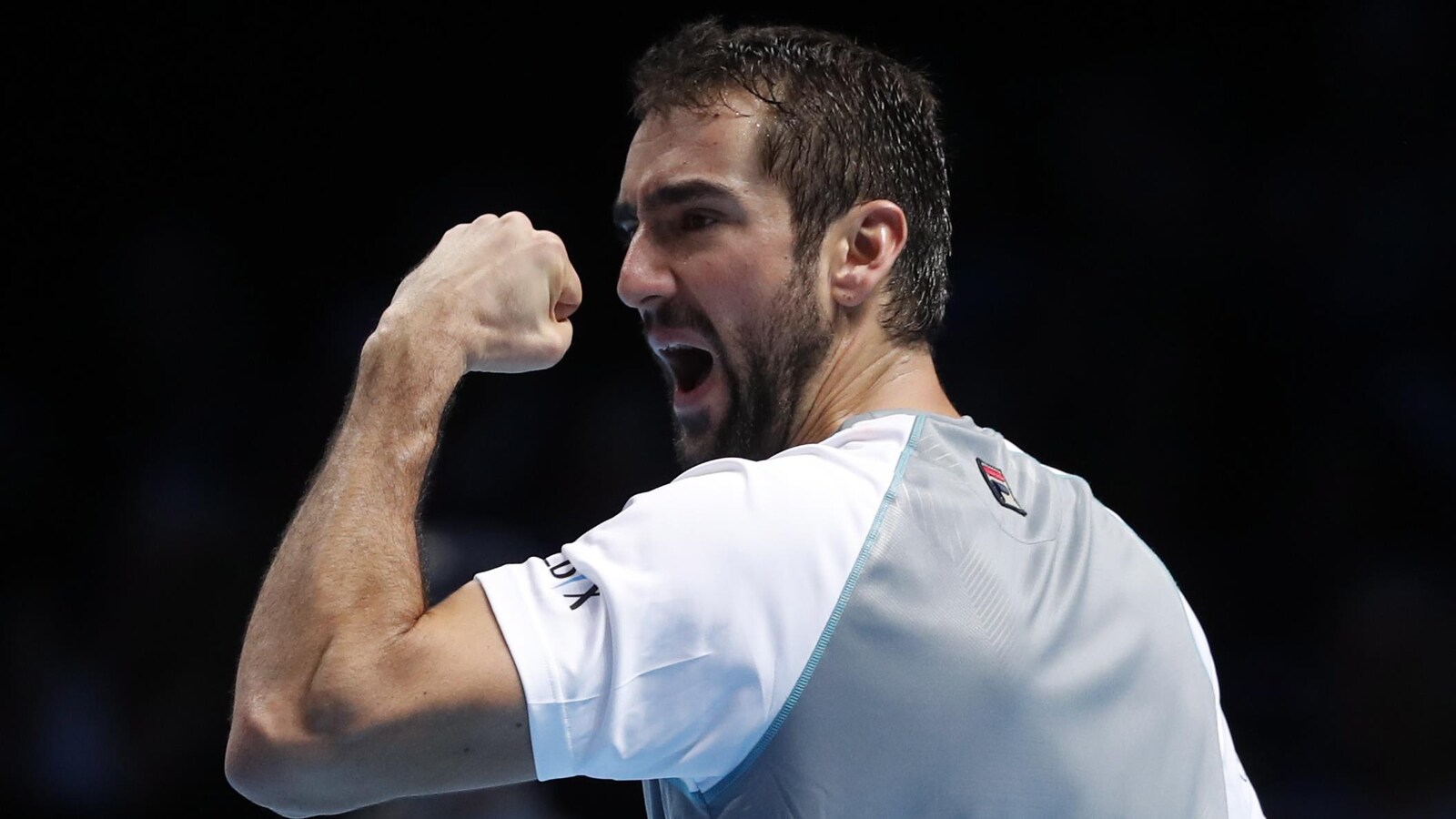 Marin Cilic