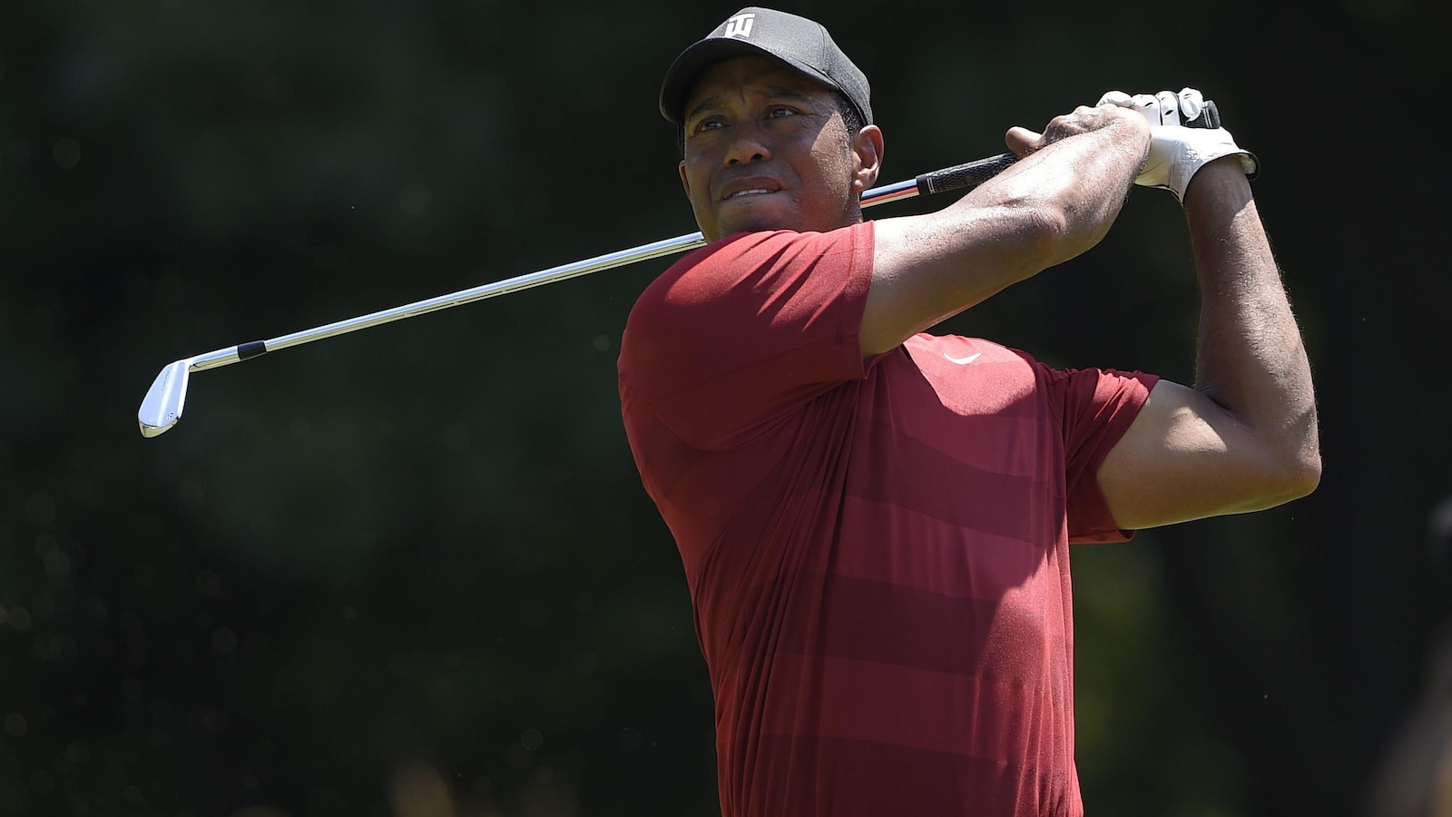 Tiger Woods, vêtu d'un chandail rouge, s'élance.