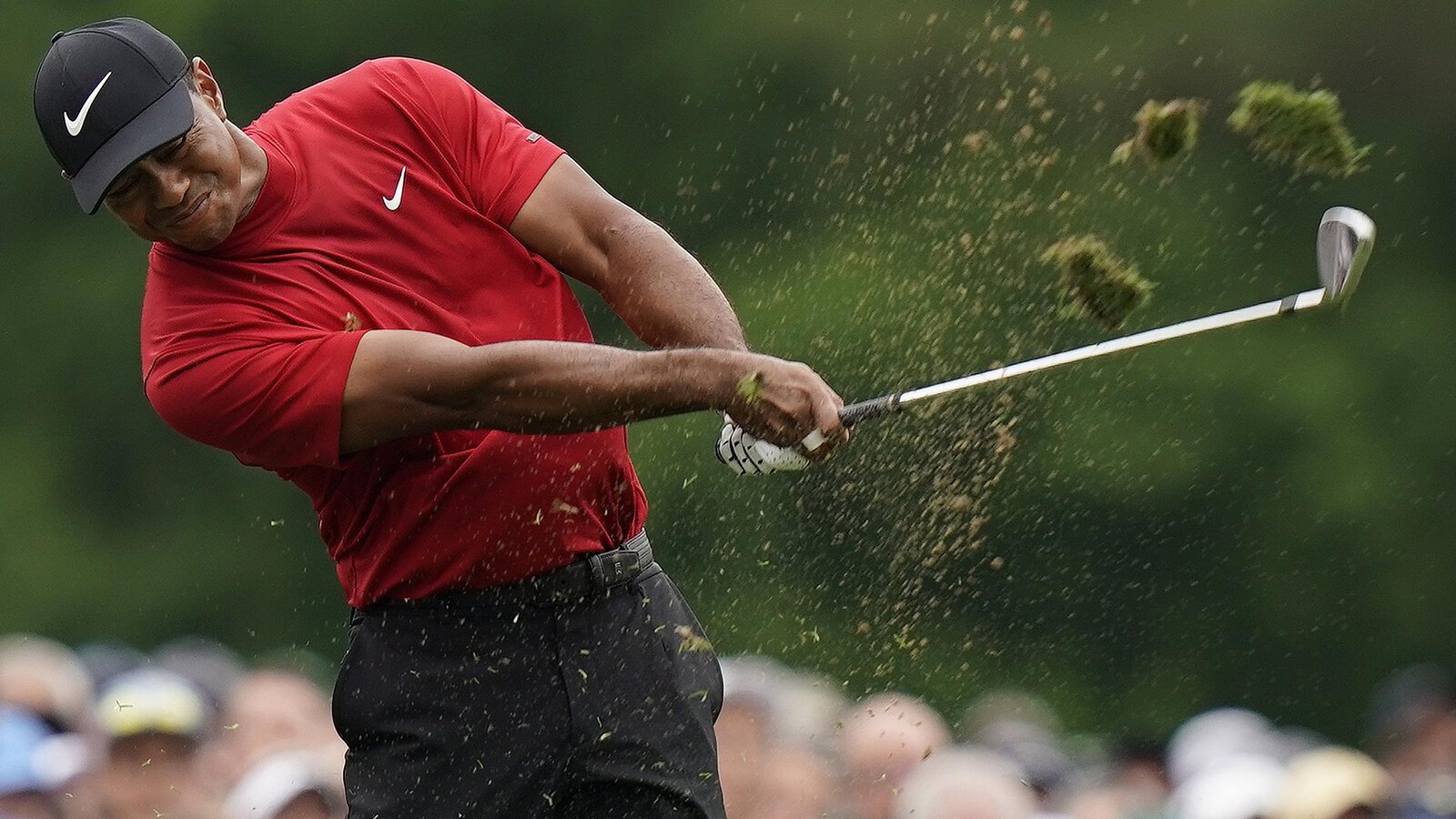 Tiger Woods