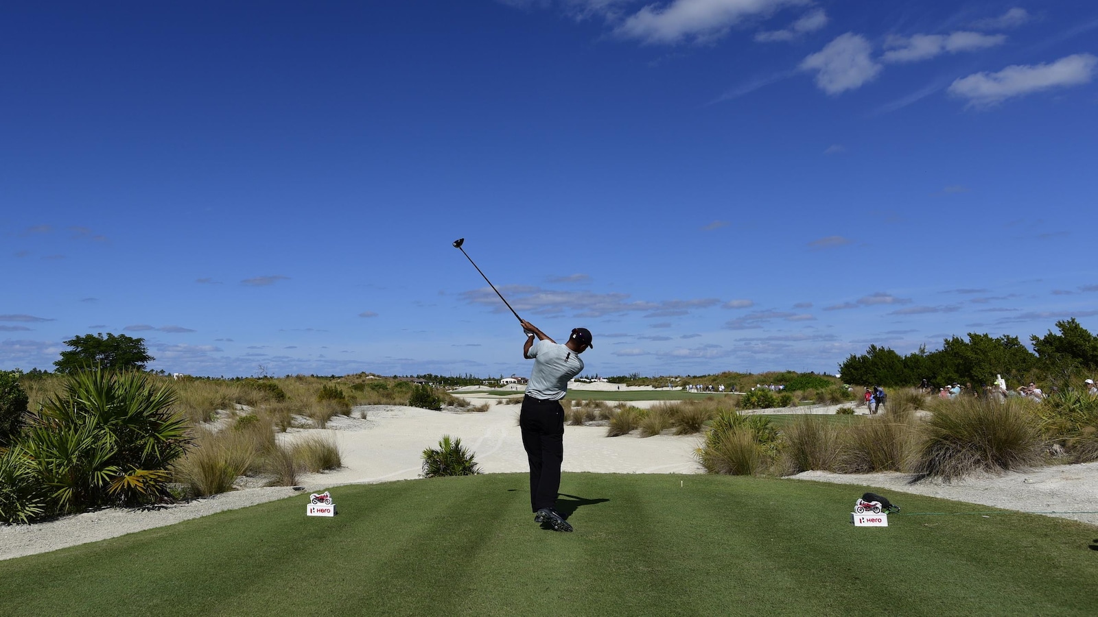 Tiger Woods